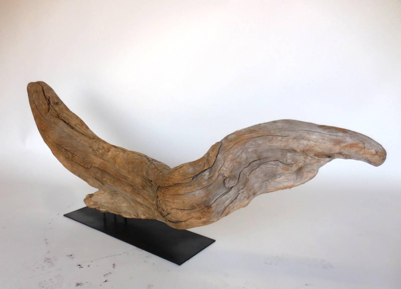 Driftwood Sculpture For Sale at 1stdibs