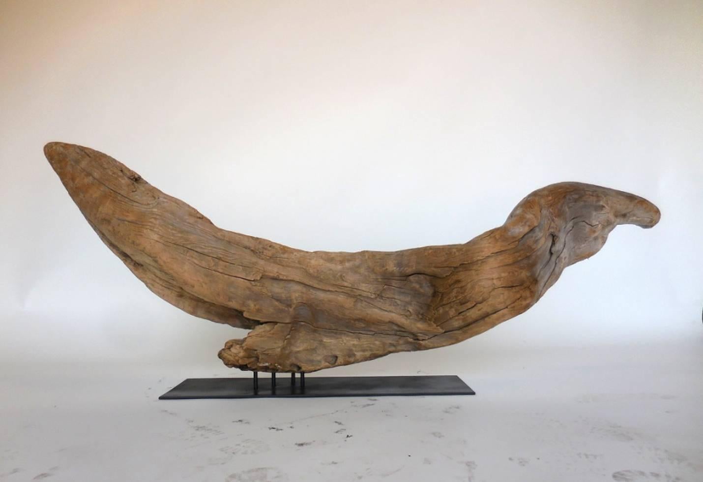 Organic Modern Driftwood Sculpture