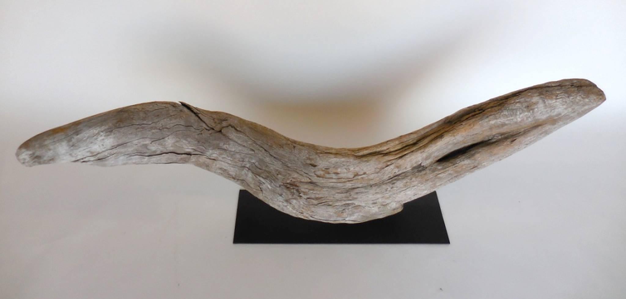 American Driftwood Sculpture