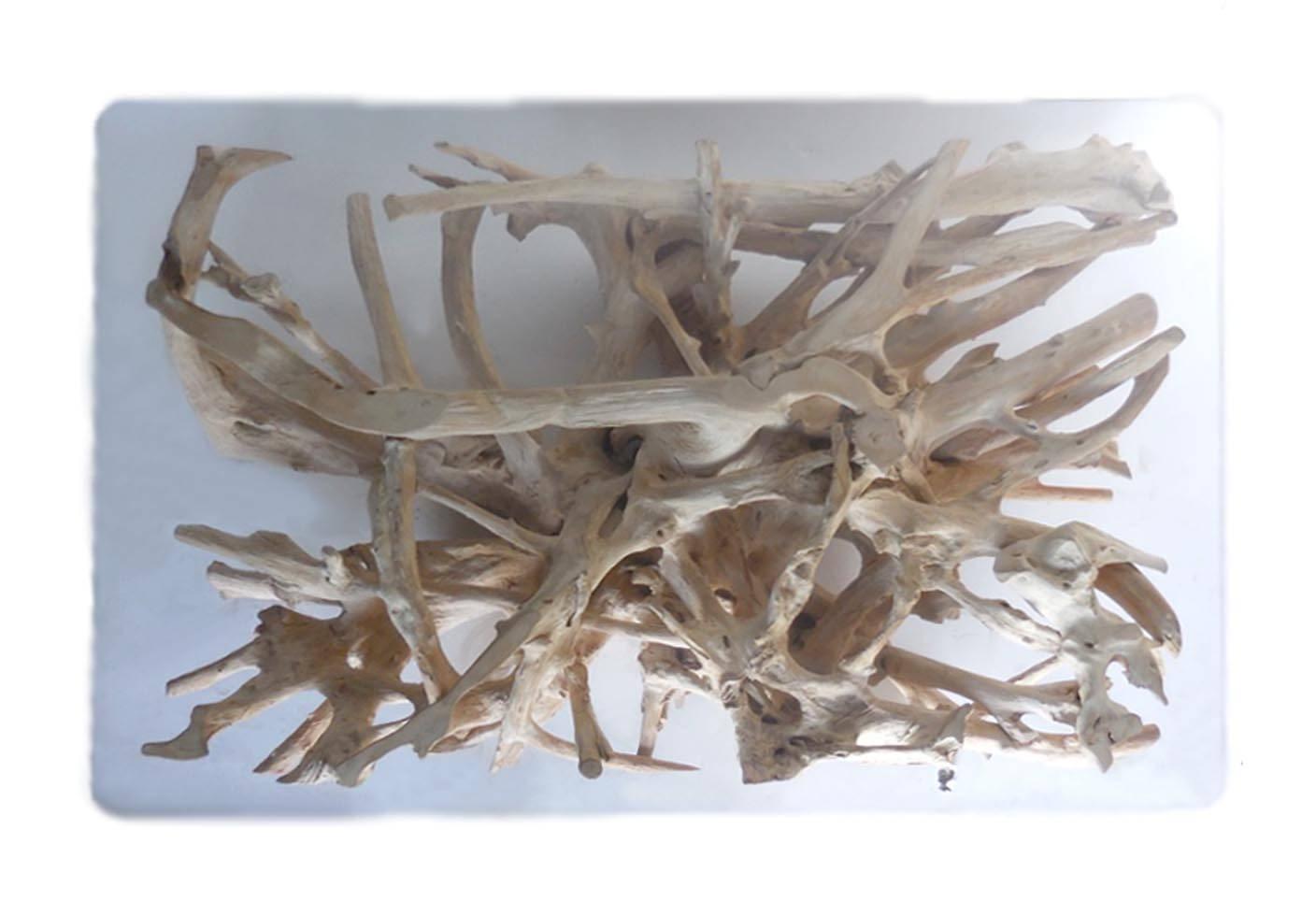 tree root coffee table glass top