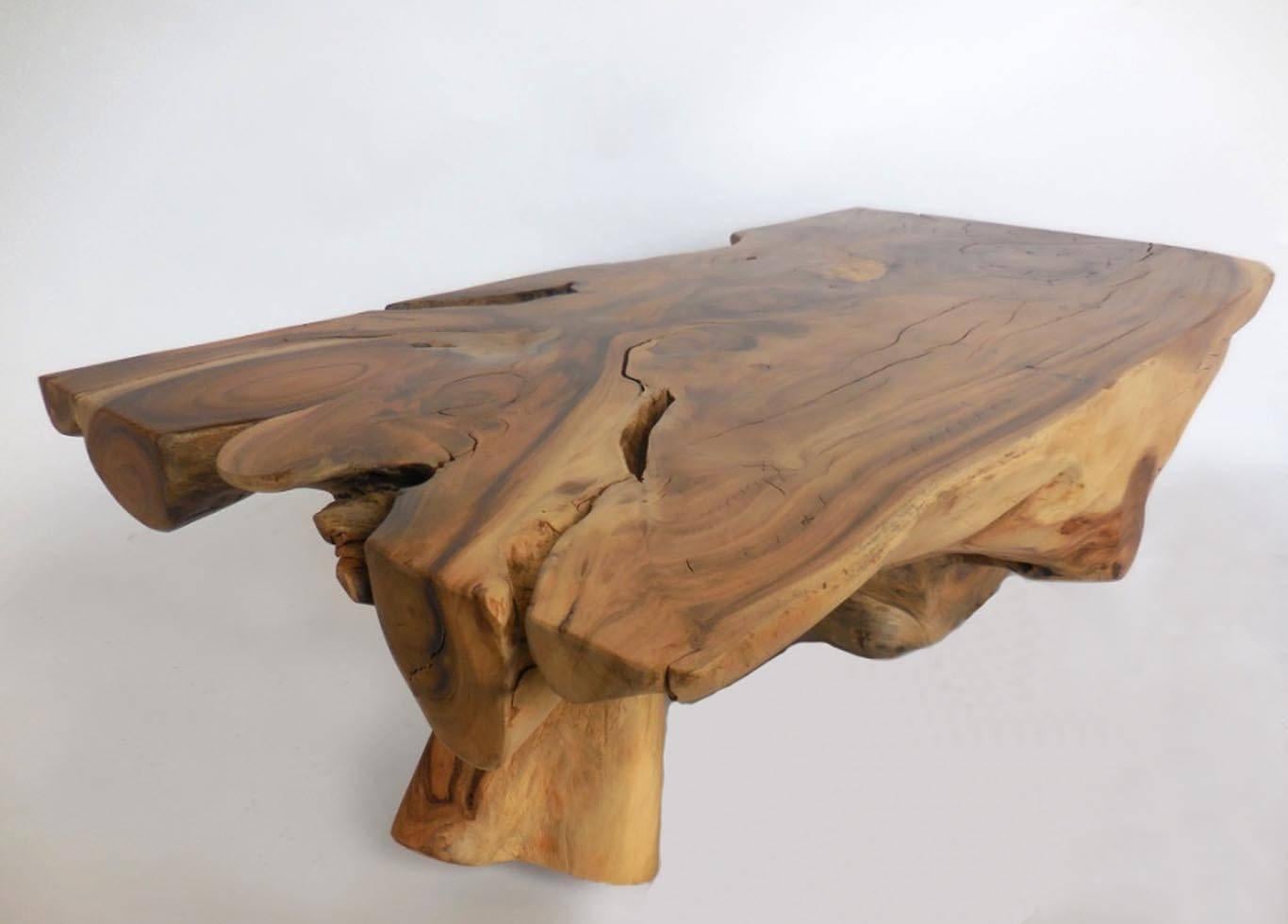 Rectangular shaped free-form root with one leg, making a fabulous primitive modern coffee table. The wood graining is varied and rich, with lots of swirling. Completely stabile and functional.