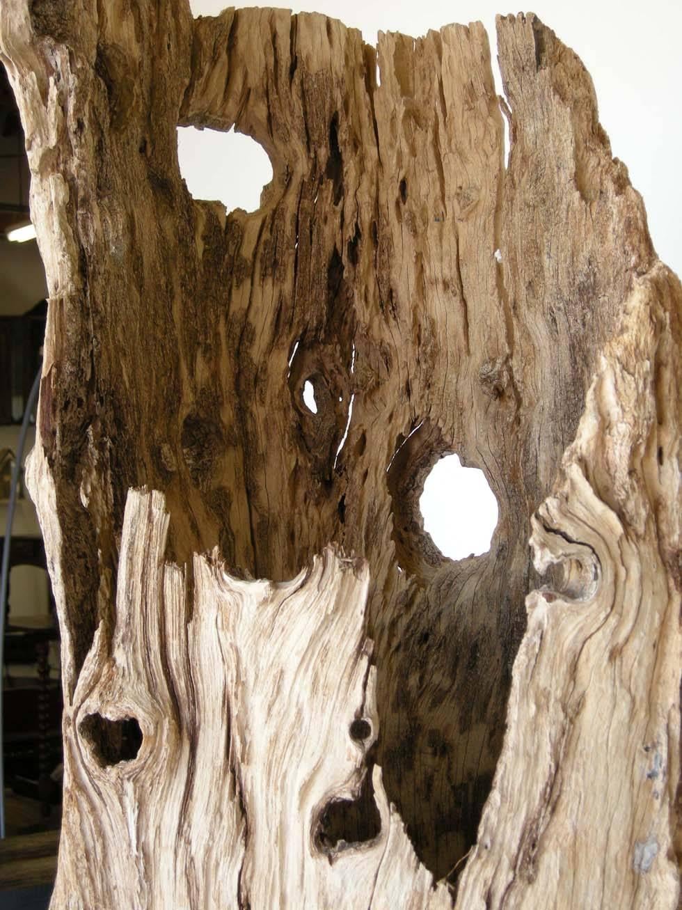 Large Driftwood Tree Trunk Sculpture 1