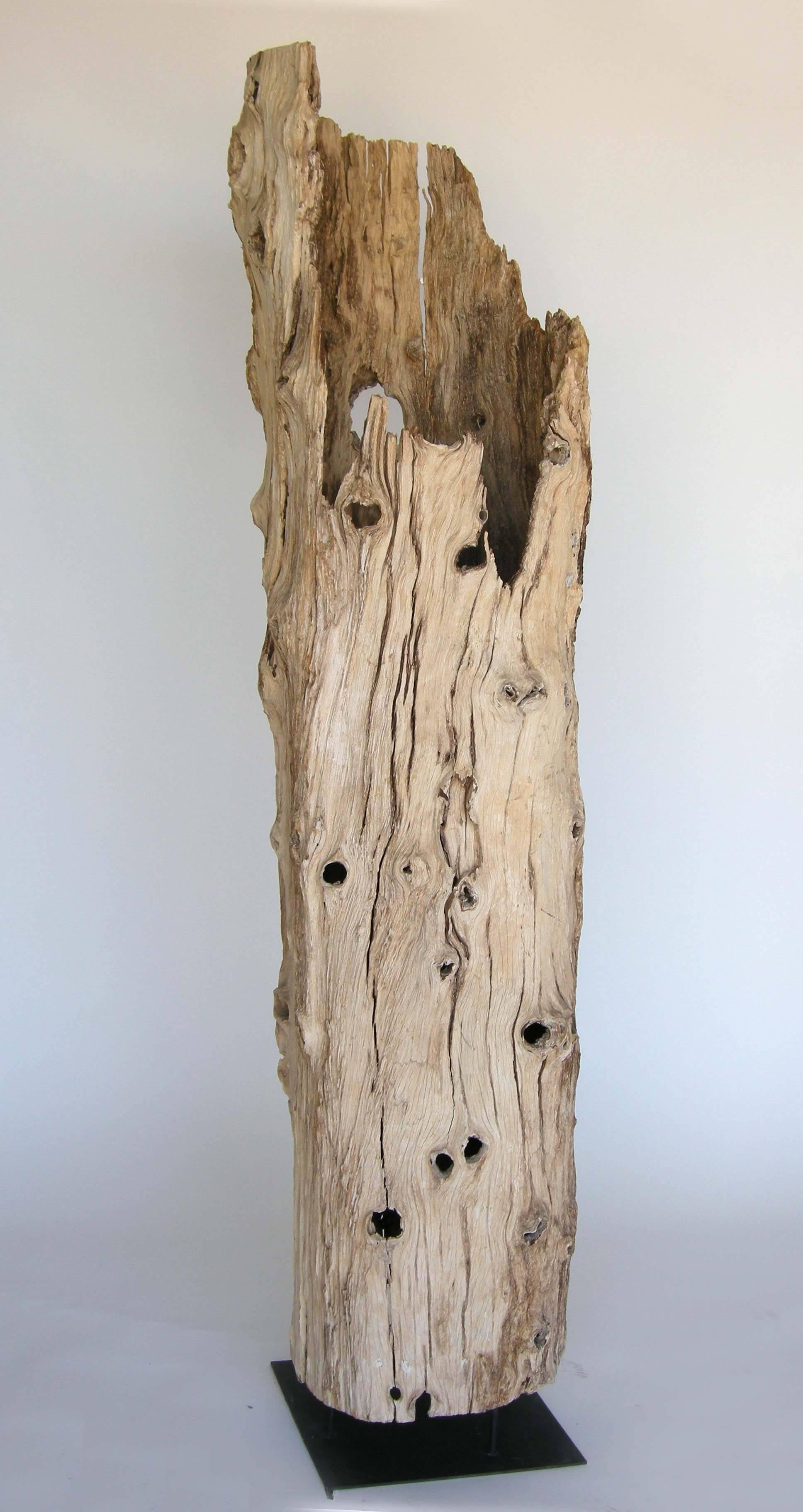 Naturally aged hollow tree trunk. To illuminate the interior, a light can be placed inside. Knots and holes and beautiful beige grey driftwood patina. Custom stand.
