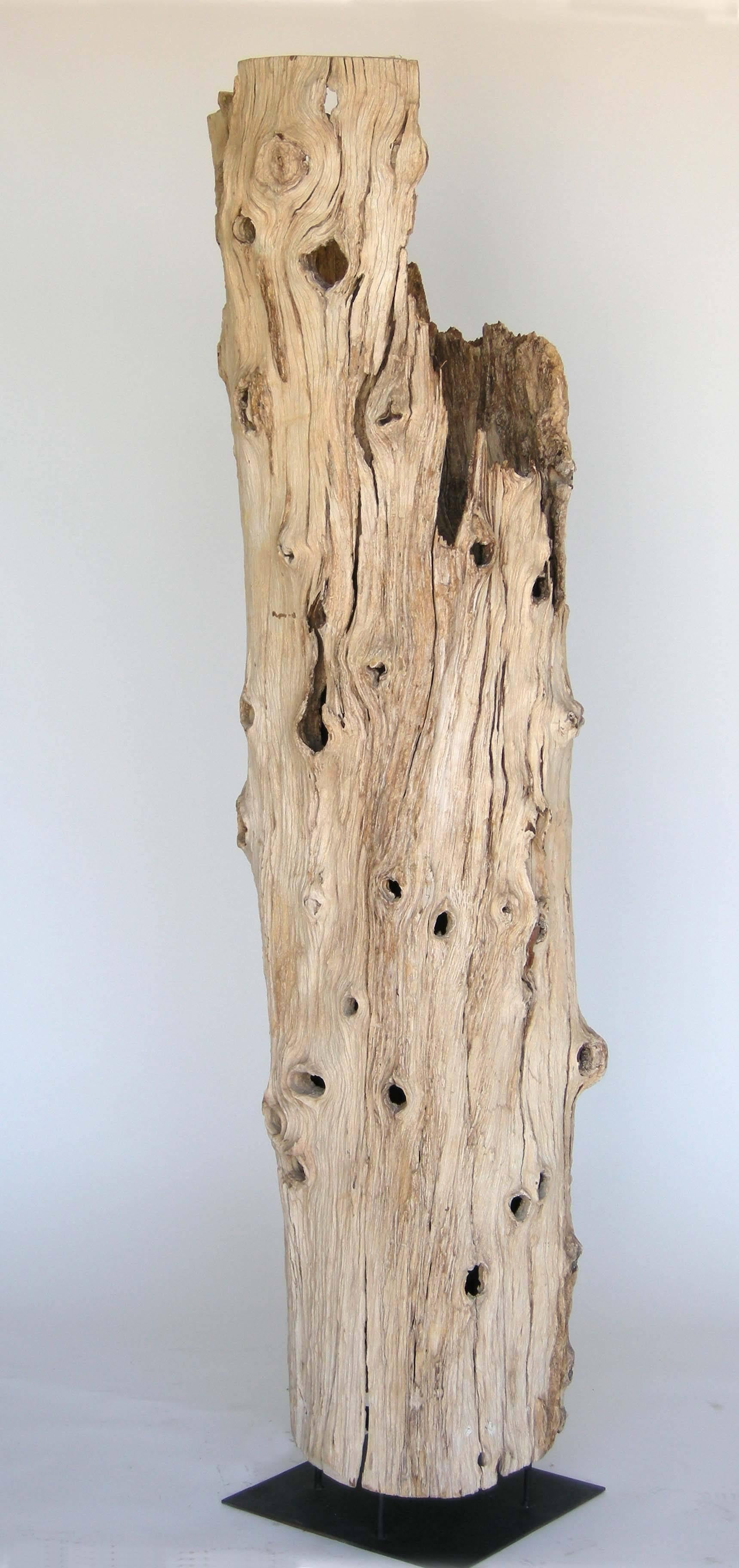 Rustic Large Driftwood Tree Trunk Sculpture