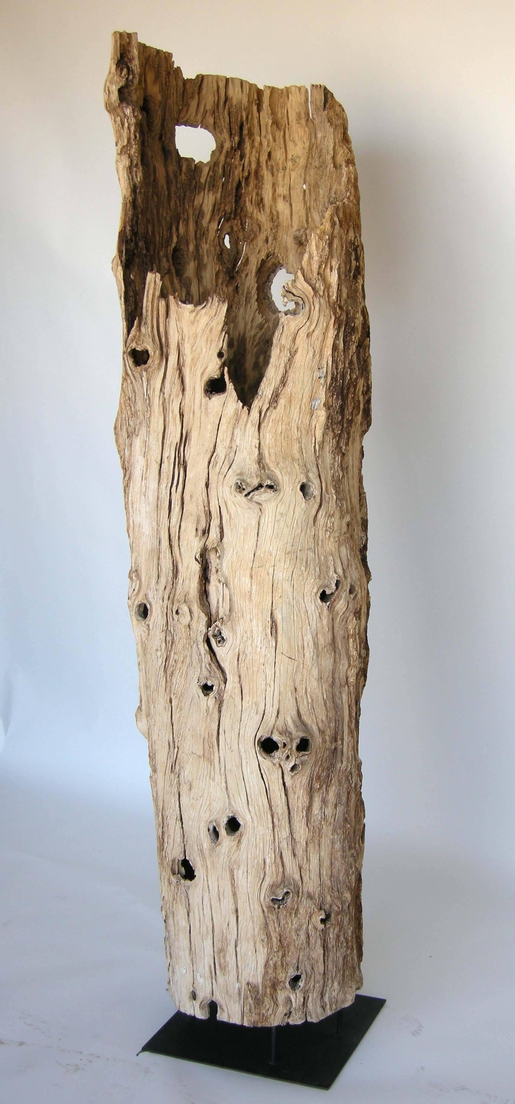 driftwood tree sculpture