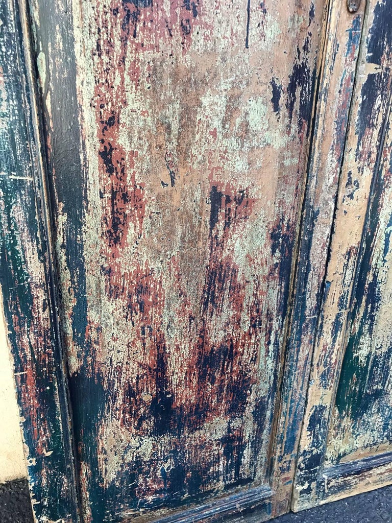 Wood Pair of 19th Century Painted Doors For Sale