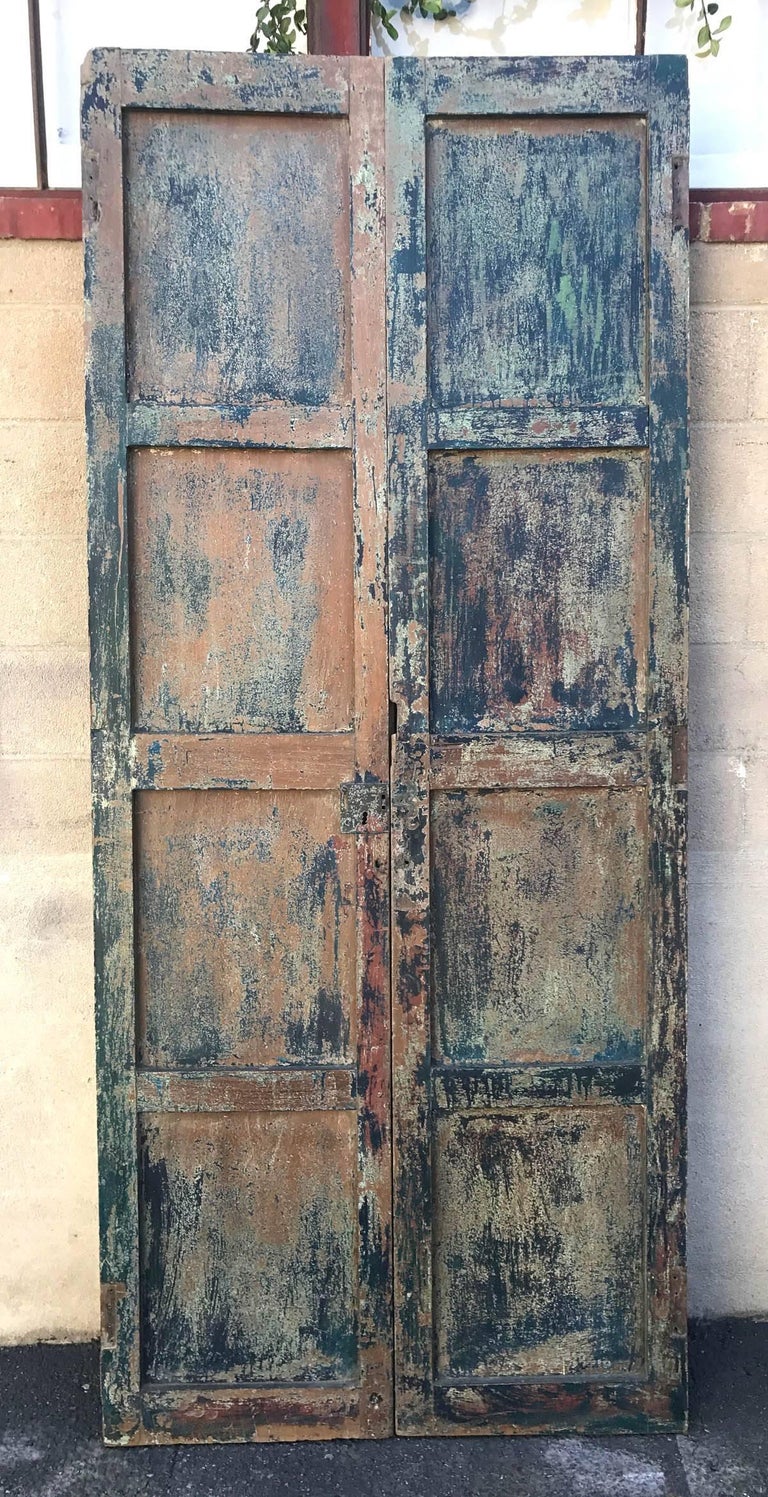 Pair of 19th Century Painted Doors For Sale 1