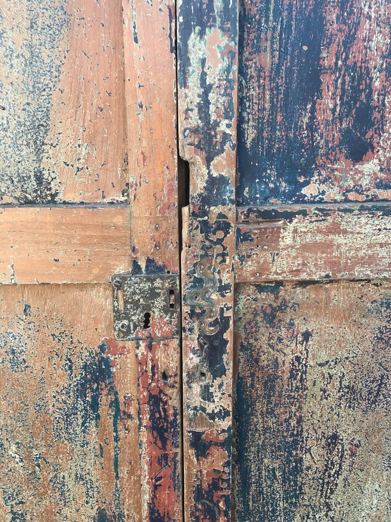Pair of 19th Century Painted Doors For Sale 2