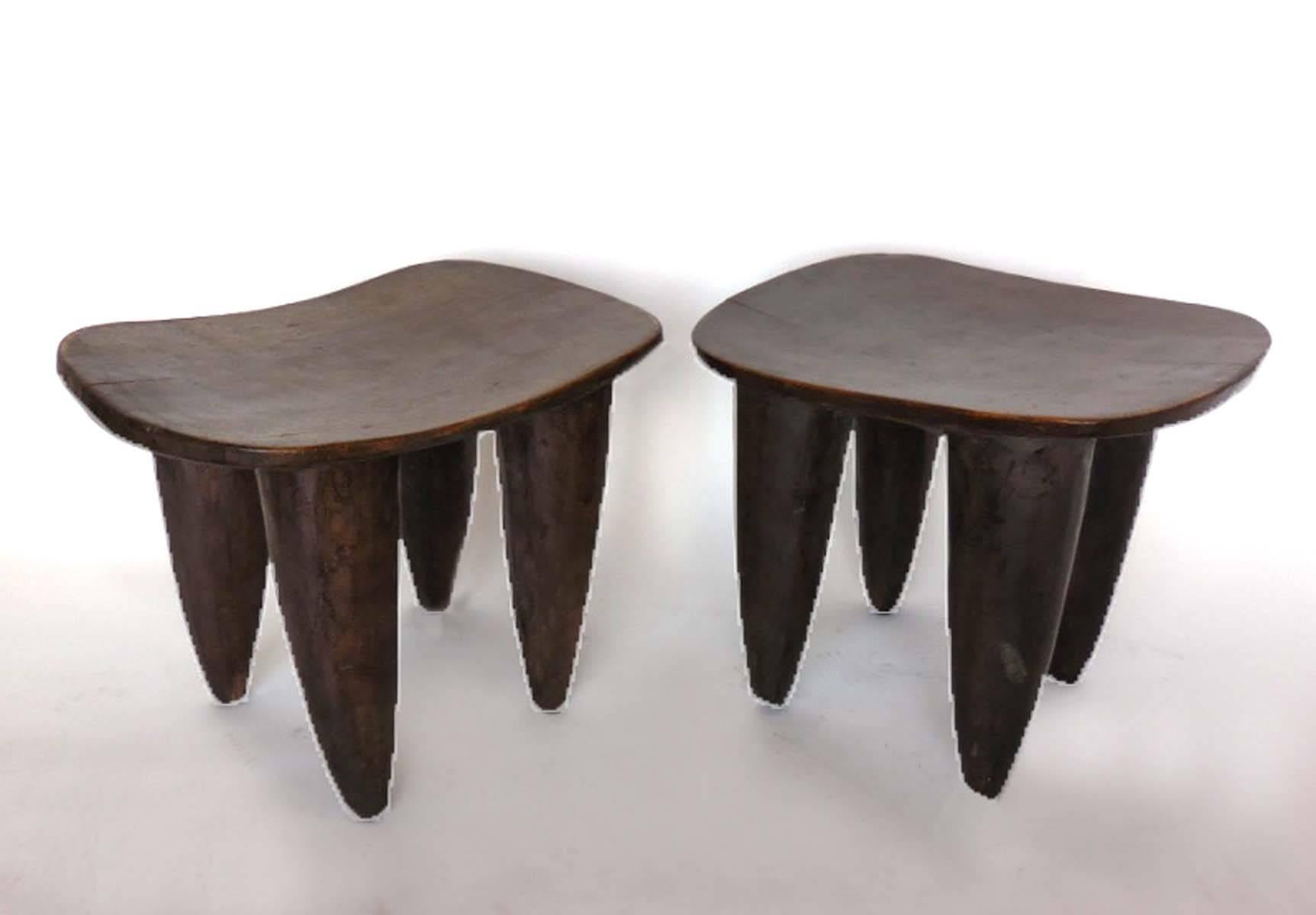 Early 20th century stools or small tables carved out of one piece of wood. From the Senufo tribe in Mali.
Left measures 26 x 19 x 19.5 H and the right measures 24.75 x 20 x 20.5 H. Priced separately.