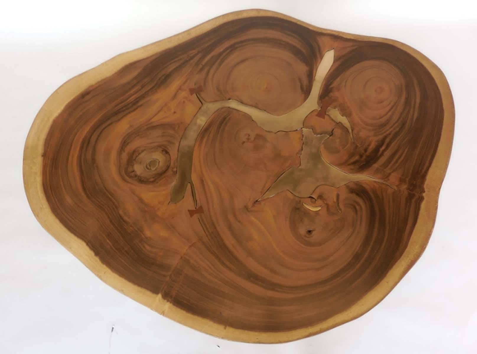 Sagitally cut slab of Albezia wood with bronze inlay. Atop hand-forged tripod base with bronze tips. Beautiful swirly wood grain and wonderful brown and beige hues. Made in Los Angeles by Dos Gallos Studio.