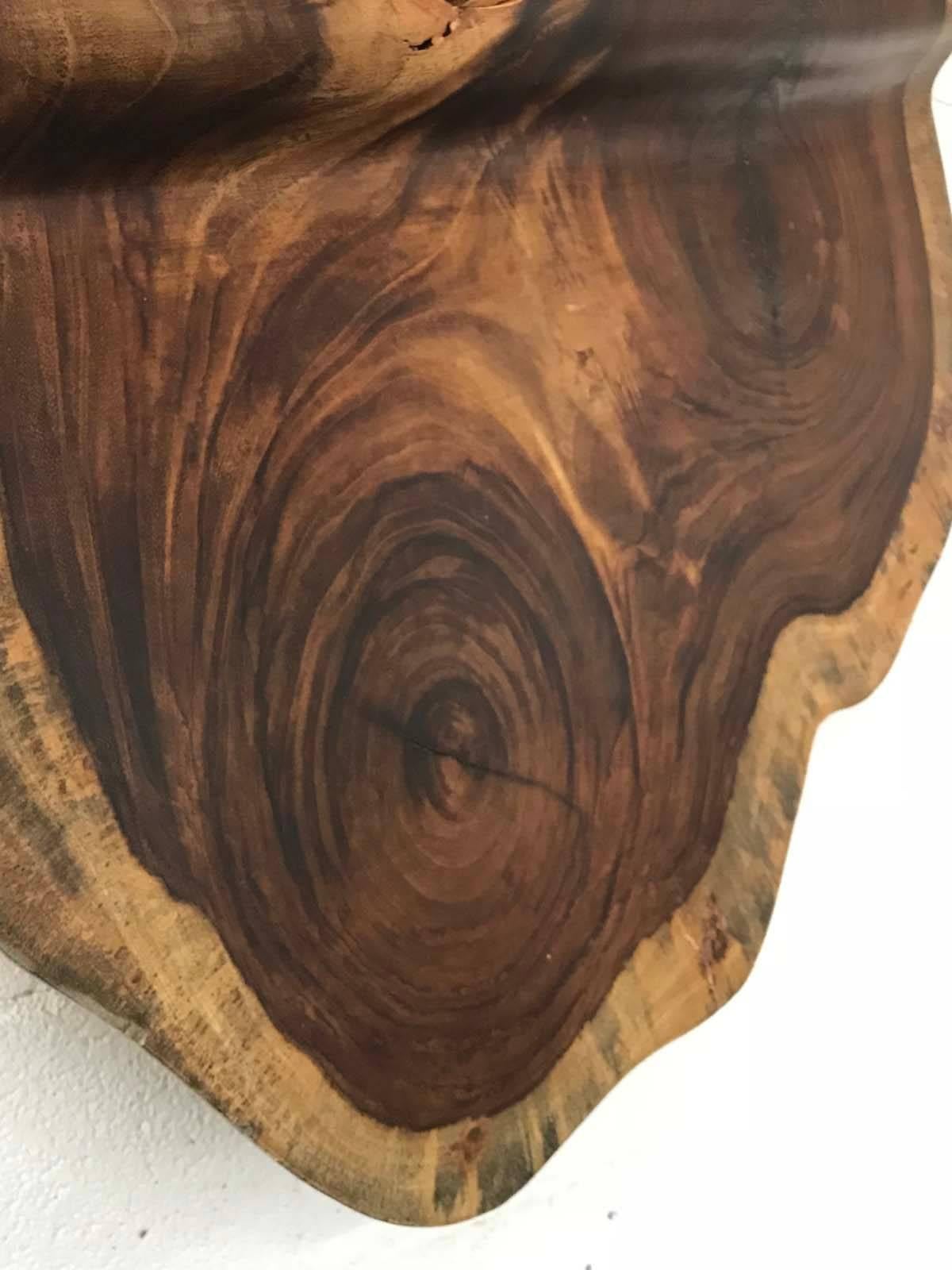 Free-Form Tropical Hardwood Wall Sculpture 1