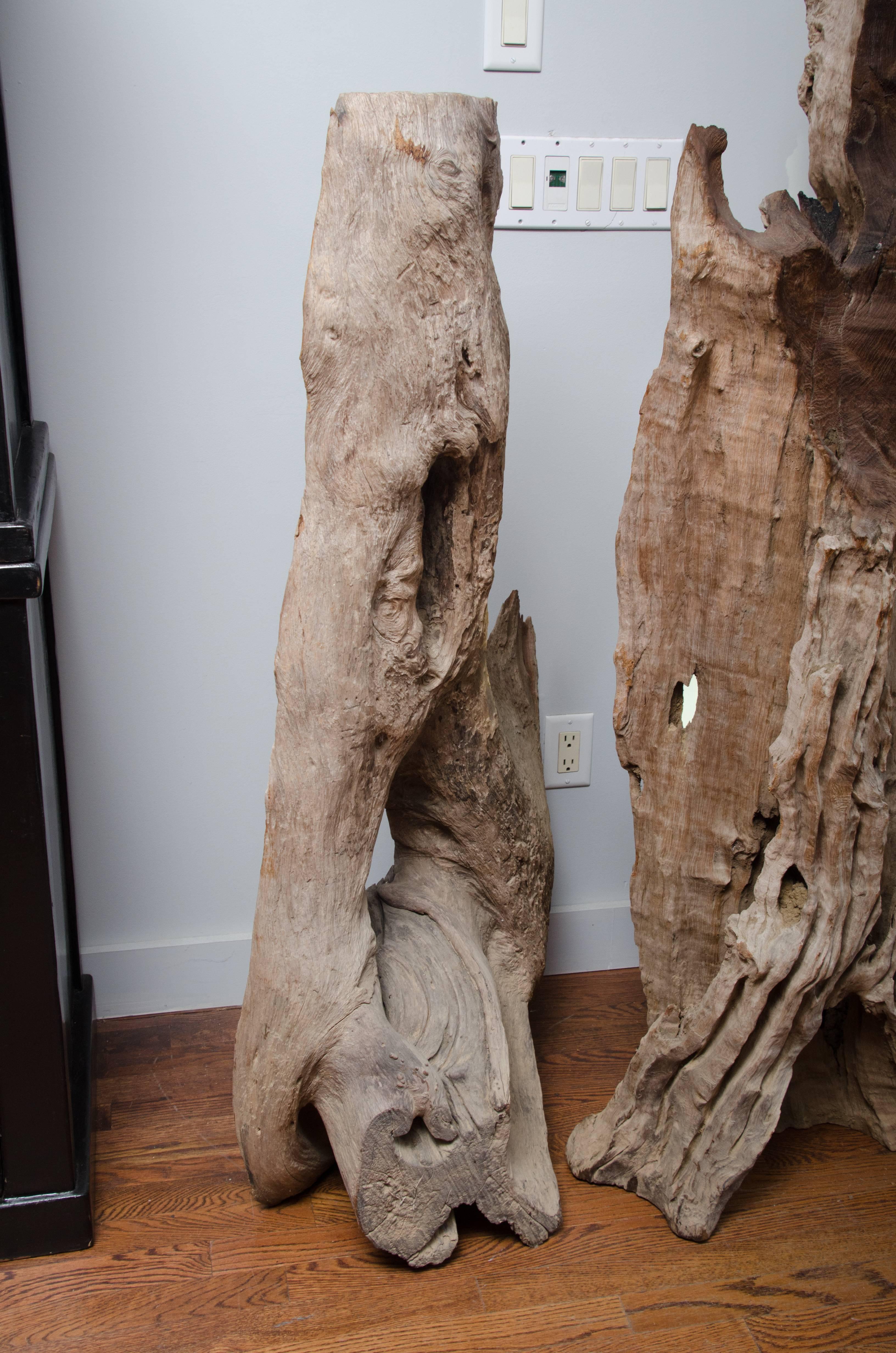 Carved Thai River Bed Petrified Tree Root from Chang Mai For Sale