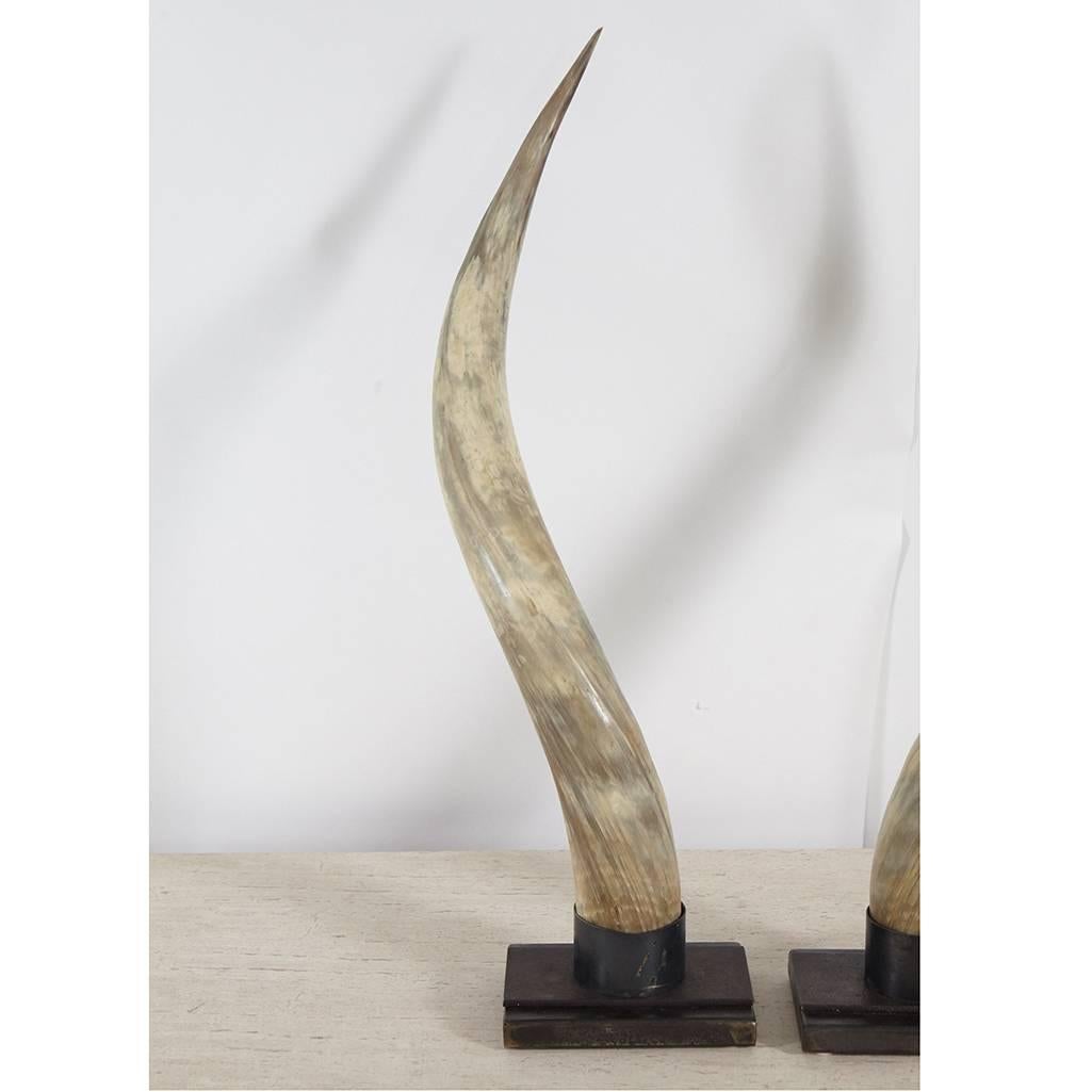Organic Modern Steer Horns on Metal Stands For Sale