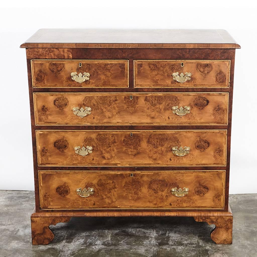 An impressive English chest of drawers with matched walnut burl wood veneer on all surfaces. The piece has two over three drawers with replaced drop pull handles in brass. The chest of drawers has many gorgeous details including banding on the top