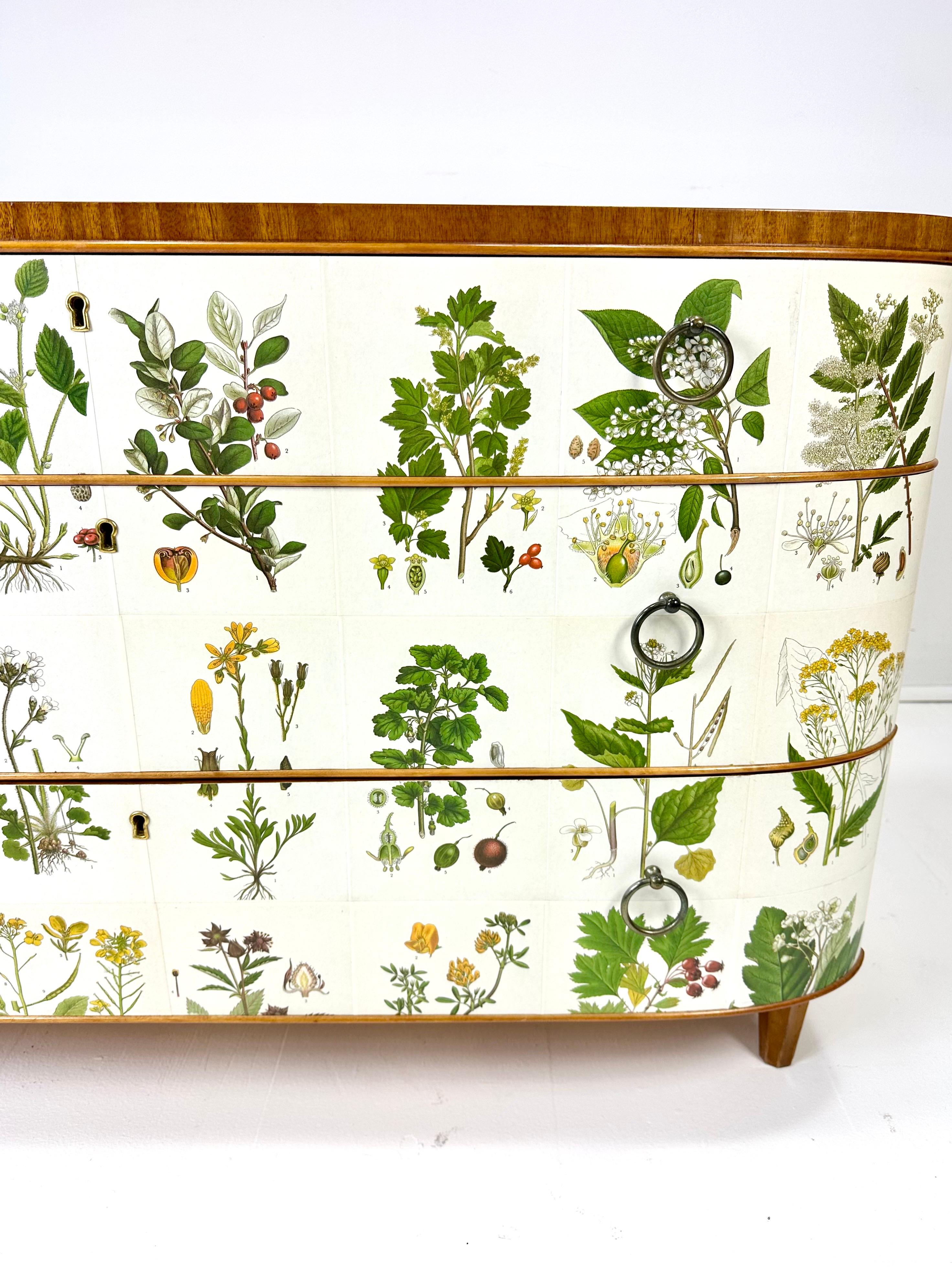 Svedese Comò svedese degli anni '1940 con illustrazioni di flora nordica in vendita