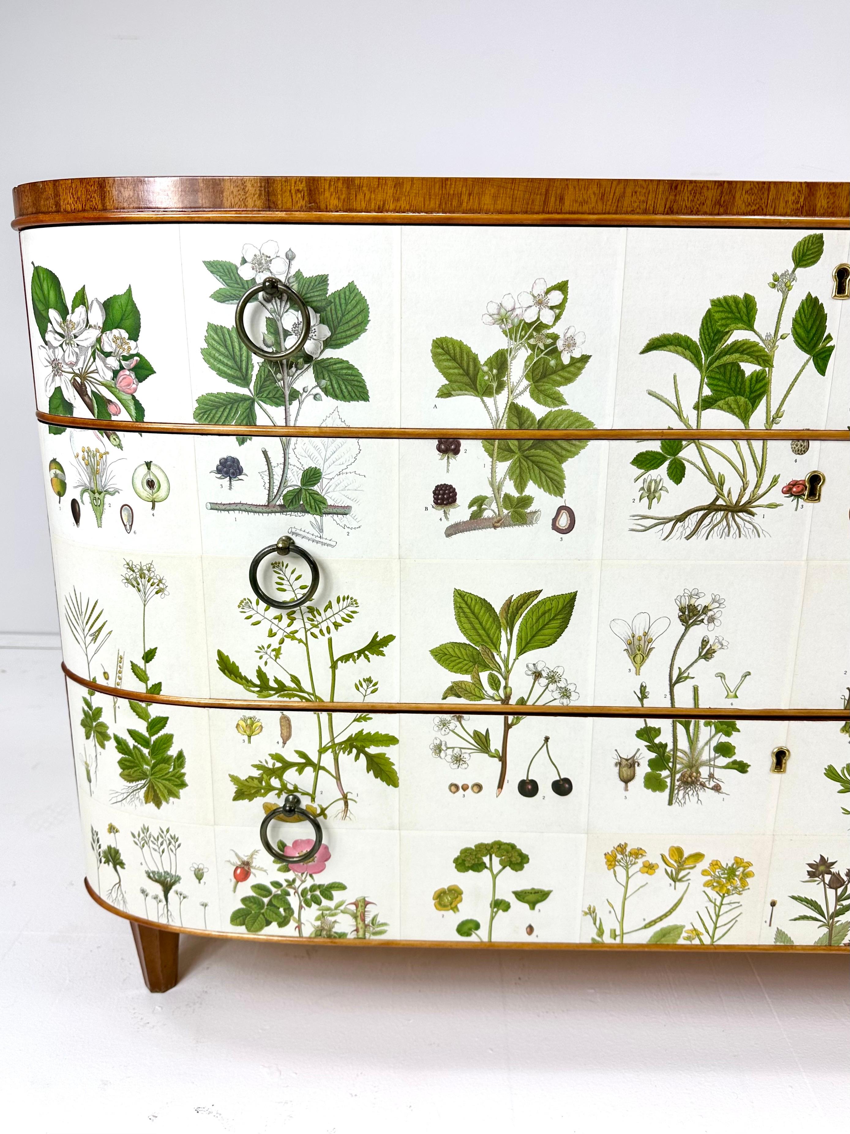 Scandinavo moderno Comò svedese degli anni '1940 con illustrazioni di flora nordica in vendita
