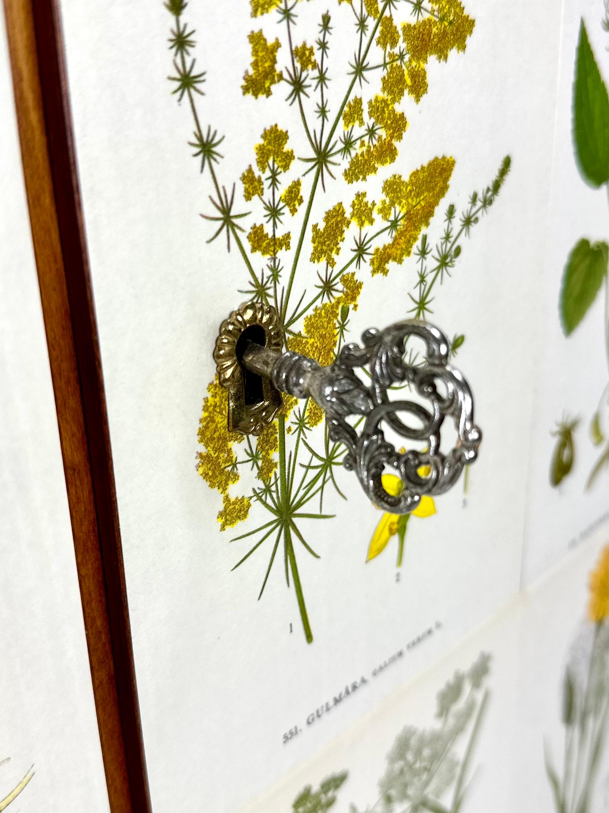 Mobile svedese degli anni '50 con illustrazioni di Nordens Flora in vendita 4