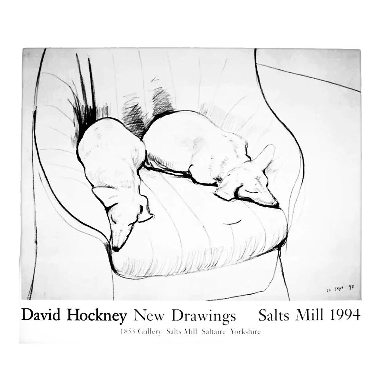 David Hockney Dackel Doxie Hund Ausstellung Lithographie Poster (Moderne der Mitte des Jahrhunderts) im Angebot
