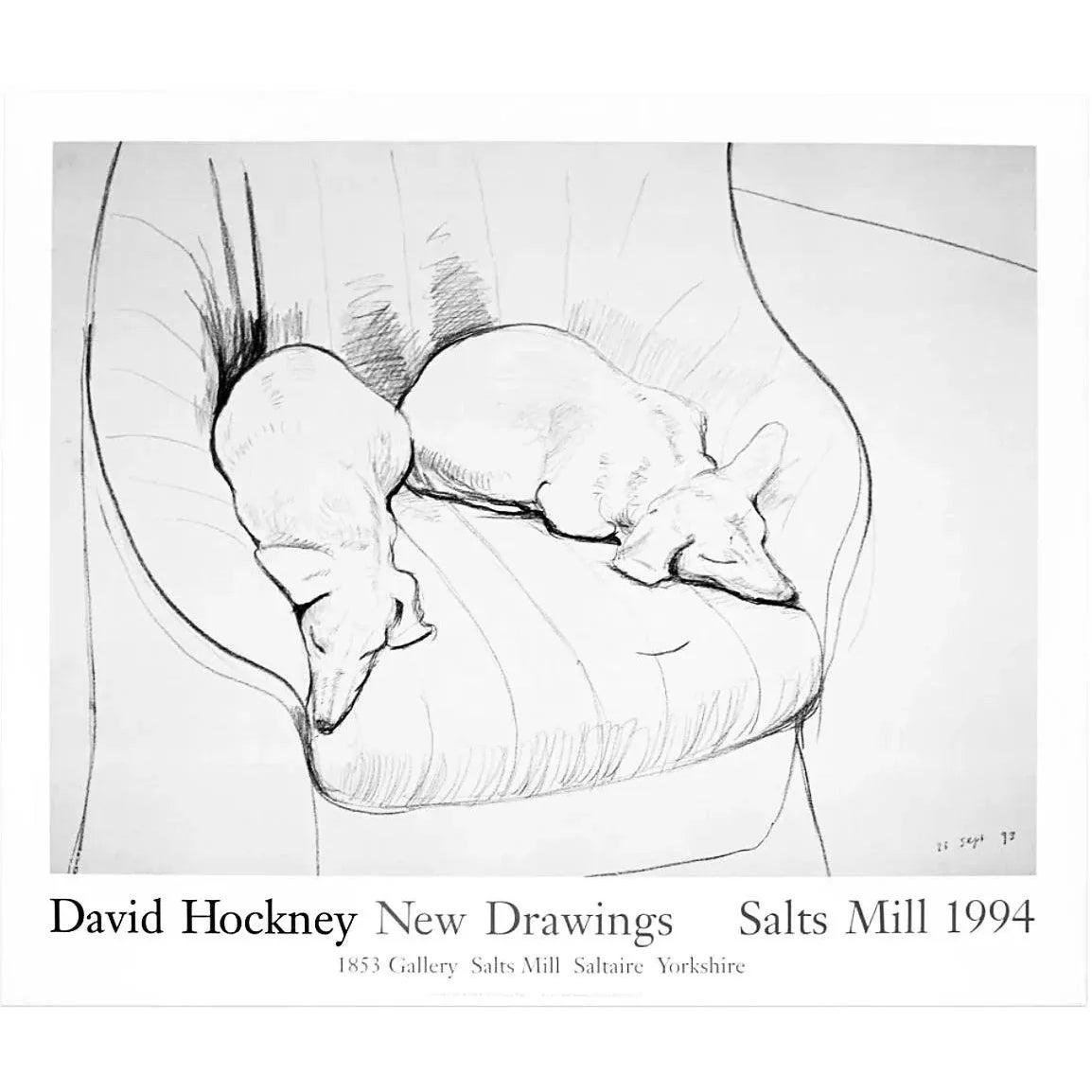 David Hockney Dackel Doxie Hund Ausstellung Lithographie Poster im Zustand „Gut“ im Angebot in St.Petersburg, FL