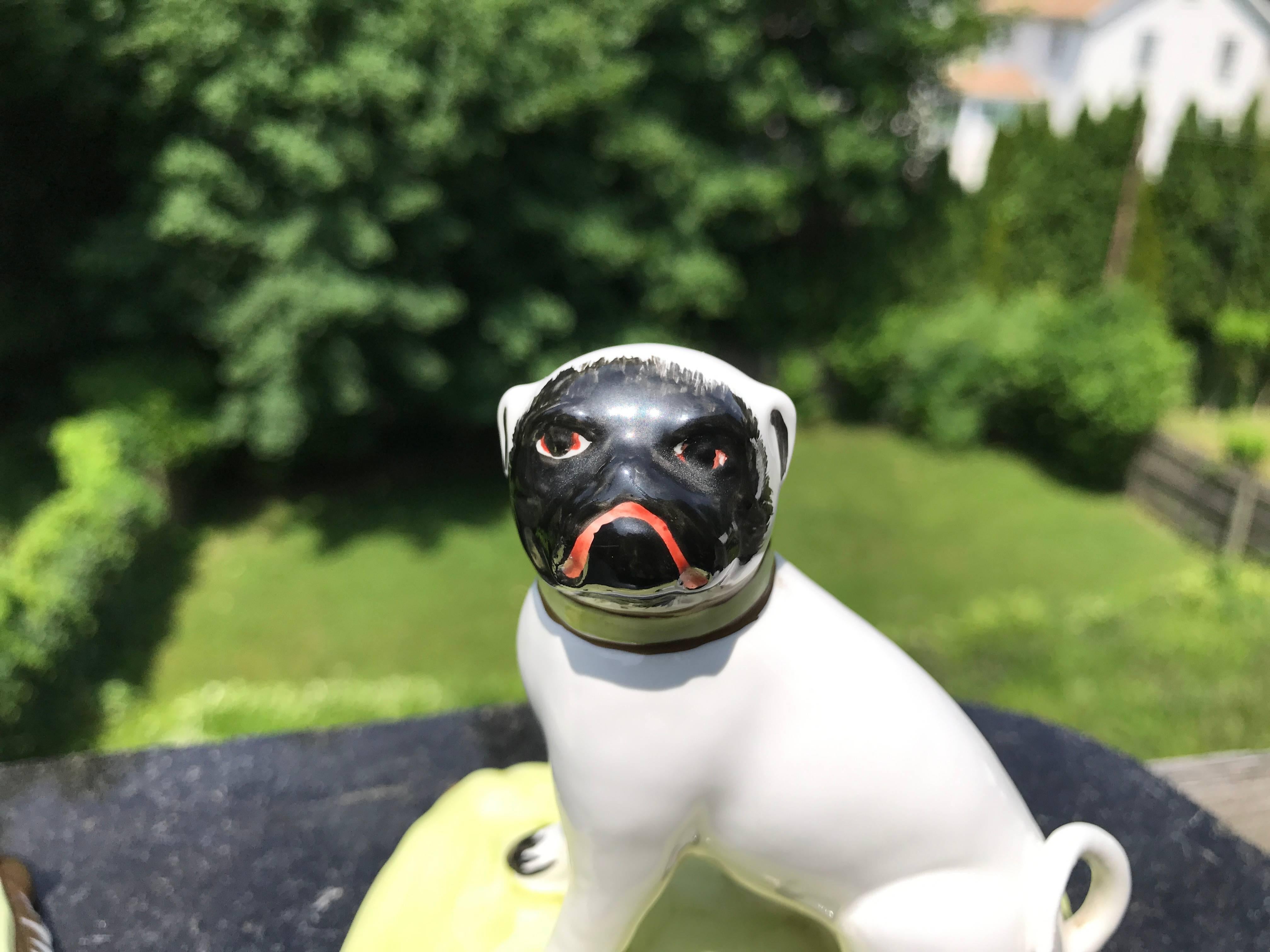 pugnacious pugs