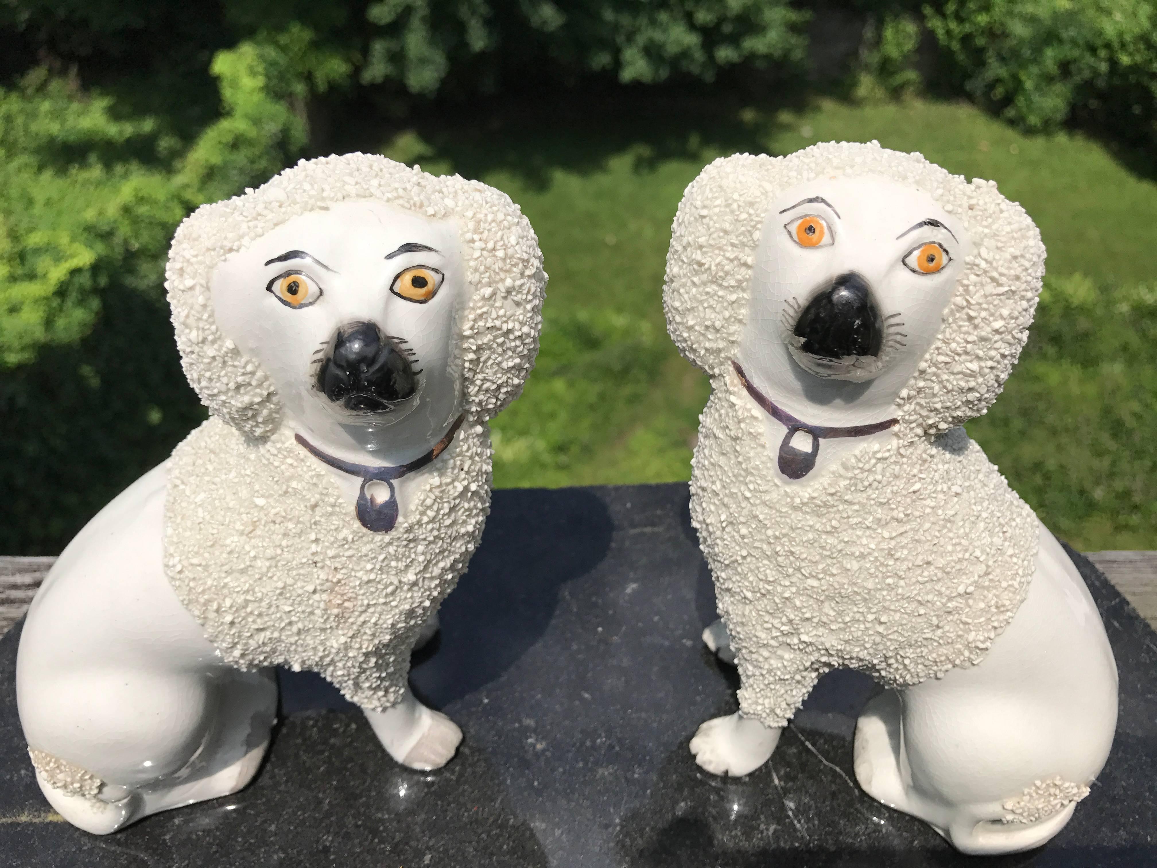 Fine pair of English Staffordshire porcelain spaniels with the endearing bewildered expressions that make the better quality examples most appealing. A particularly charming pair.