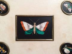 Pietra Dura Butterfly Paperweight