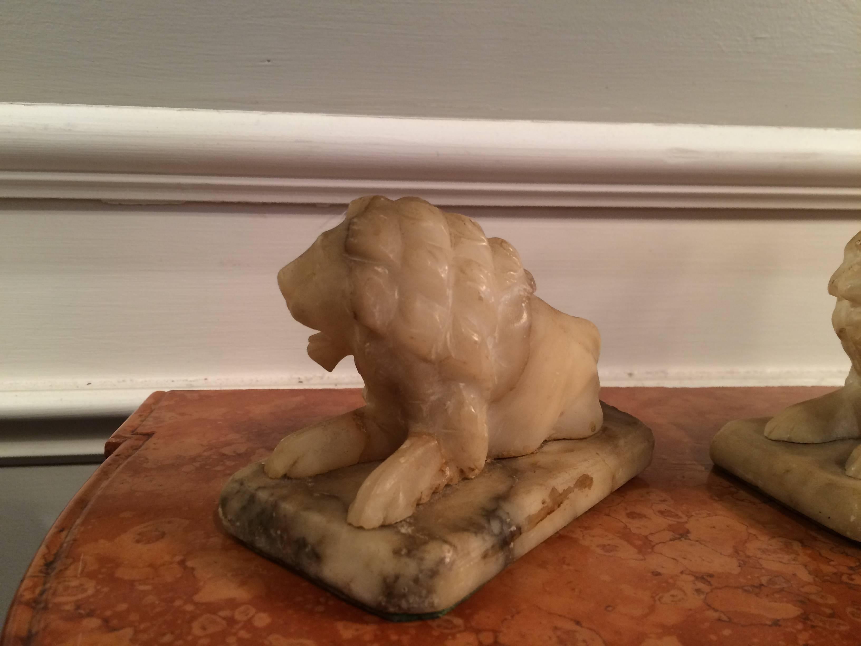 Pair Italian carved alabaster recumbent lions, each shown facing the other with mouths open in a roar.