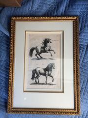 Pair of 17th Century Equestrian Prints
