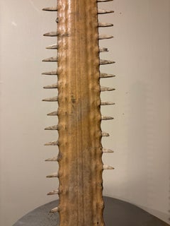 Sawfish Bill Rostrum Mounted on a Custom Steel Base, Large Scale 37 Inches High