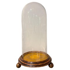 Campana de cristal italiana antigua con base dorada, de alrededor de 1780, con una pátina estupenda