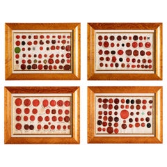 Conjunto de 4 entallados para sellos de cera rojos enmarcados, del norte de Europa, siglos XVIII-XIX