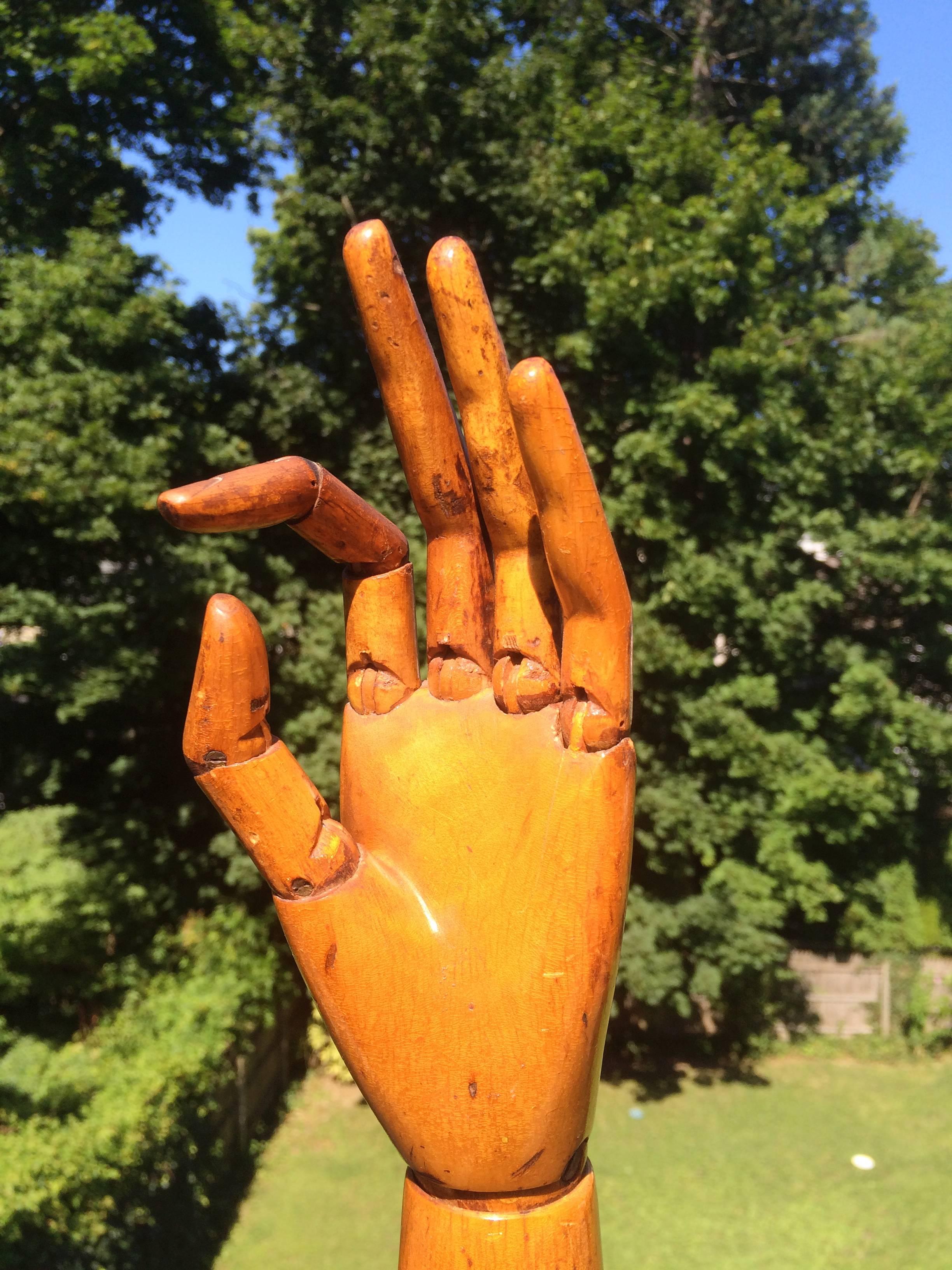 Best quality carved fruitwood lifesize articulated artists mannequin hand. The finely carved fingers eerily life-like, rich honey patina. French or Belgian with a impressed export mark on the bottom 'Made in Belgium.'