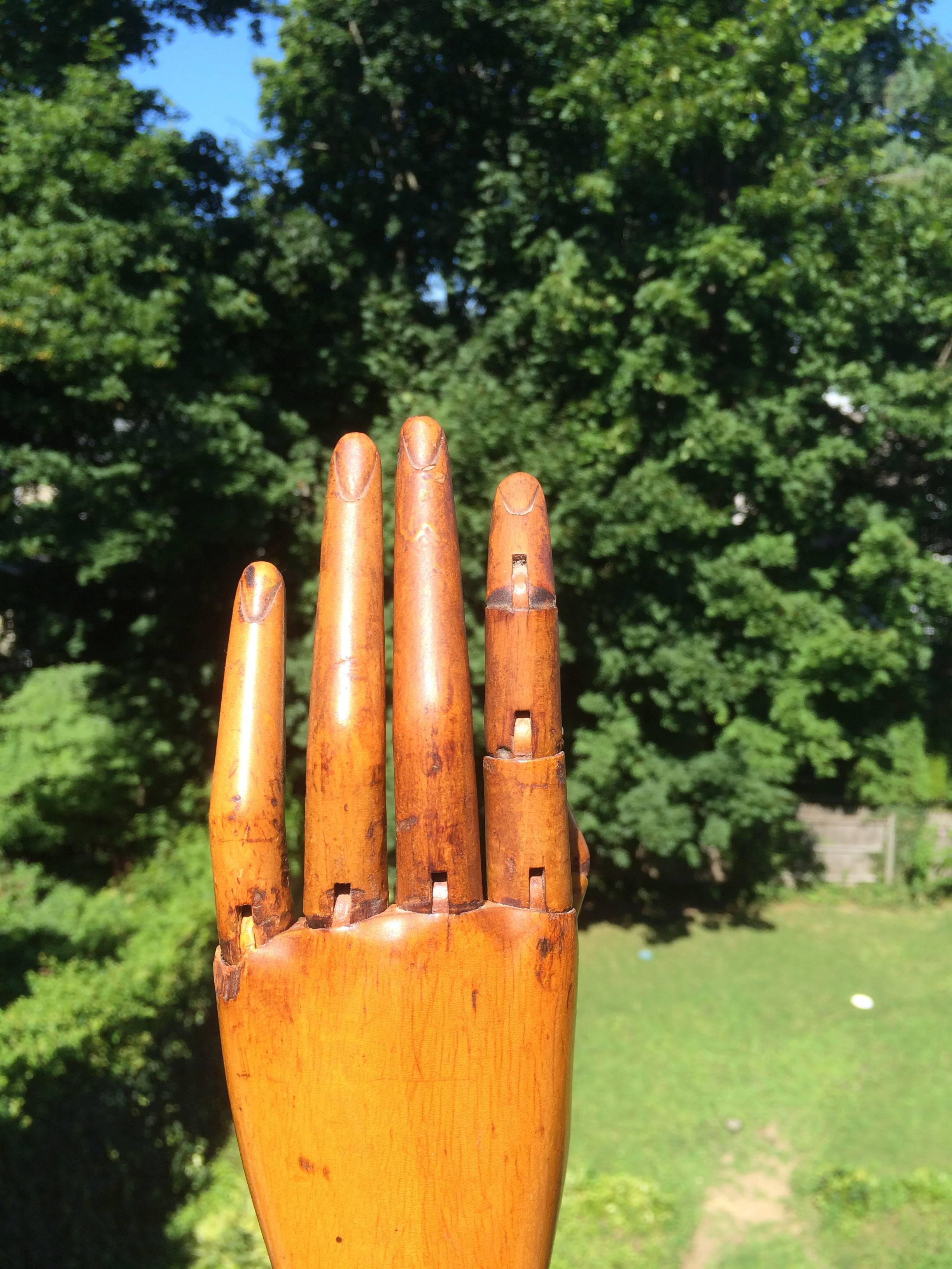 Other Articulated Mannequin Hand, Life-Size