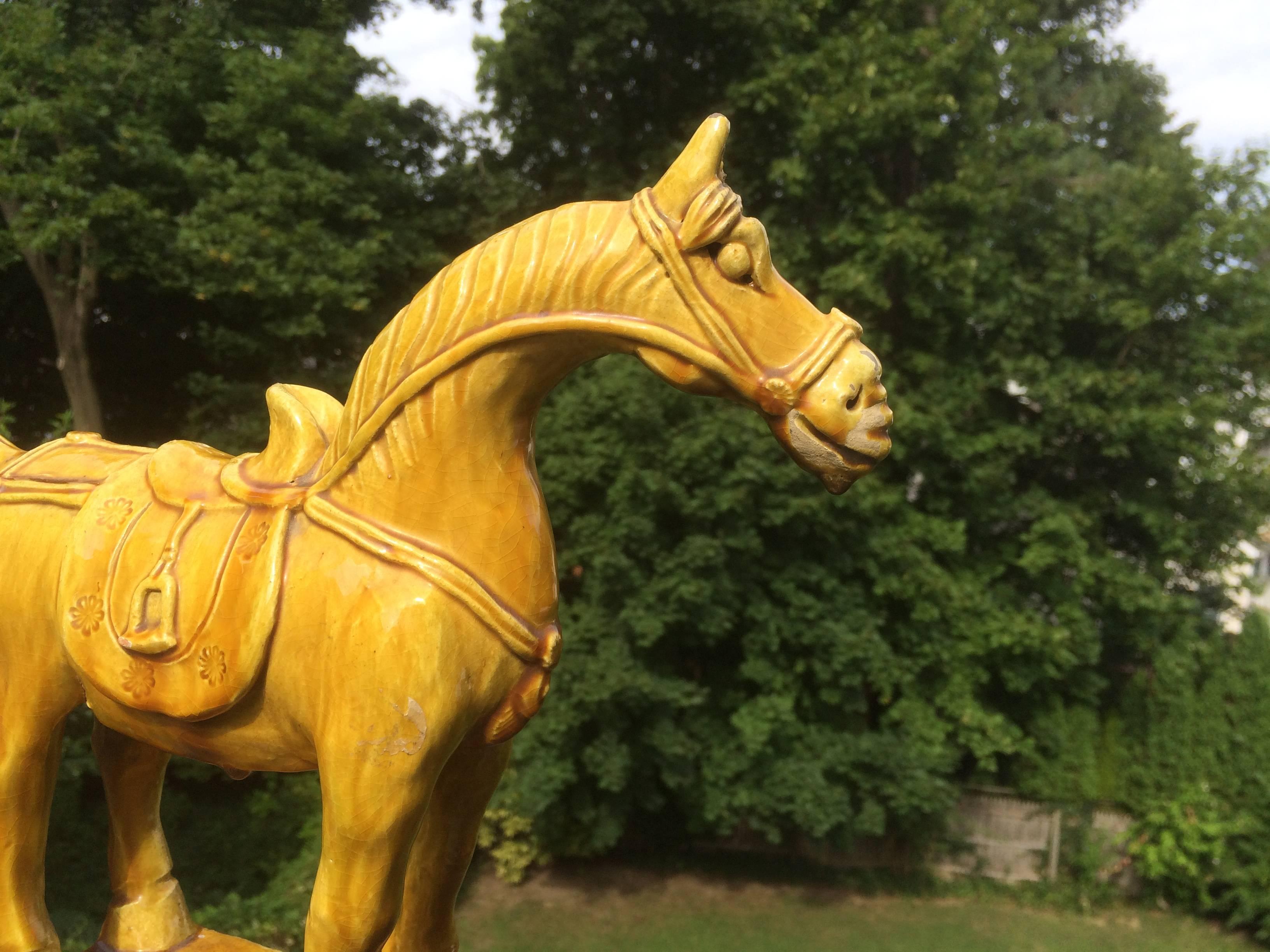 golden teak horse