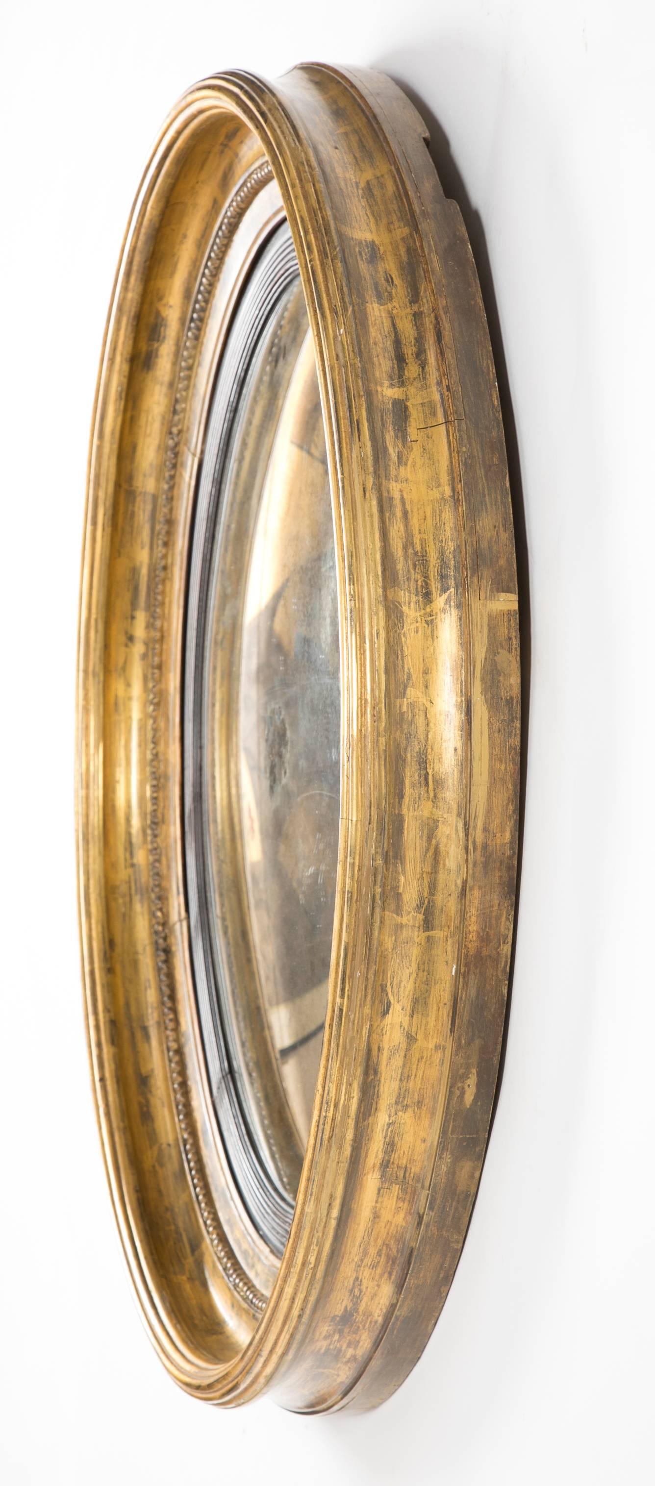 19th Century Pair of English Regency Convex Bullseye Mirrors