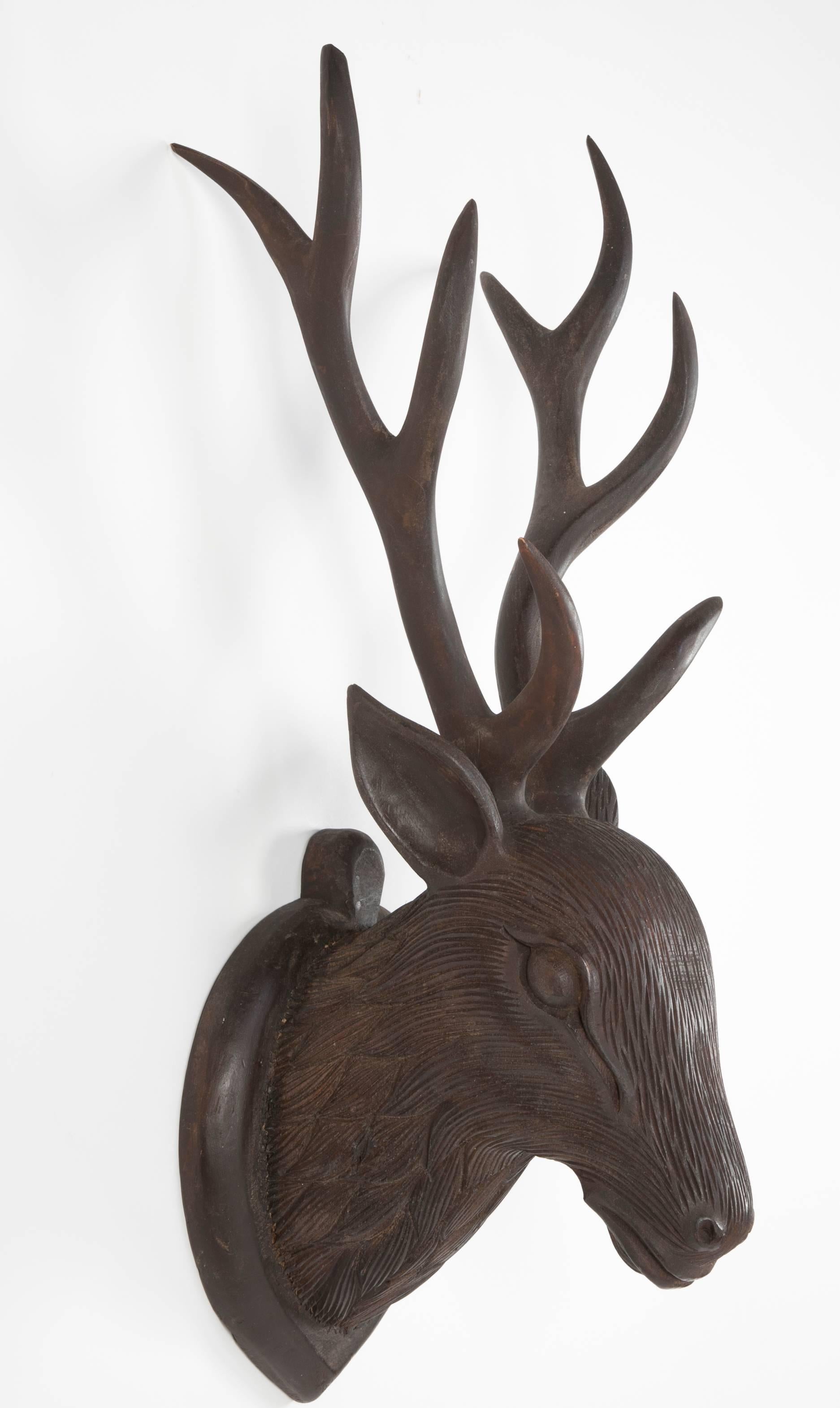 A German or Swiss Black Forest carved wood deer head. The buck shown with full antlers, all hand-carved.