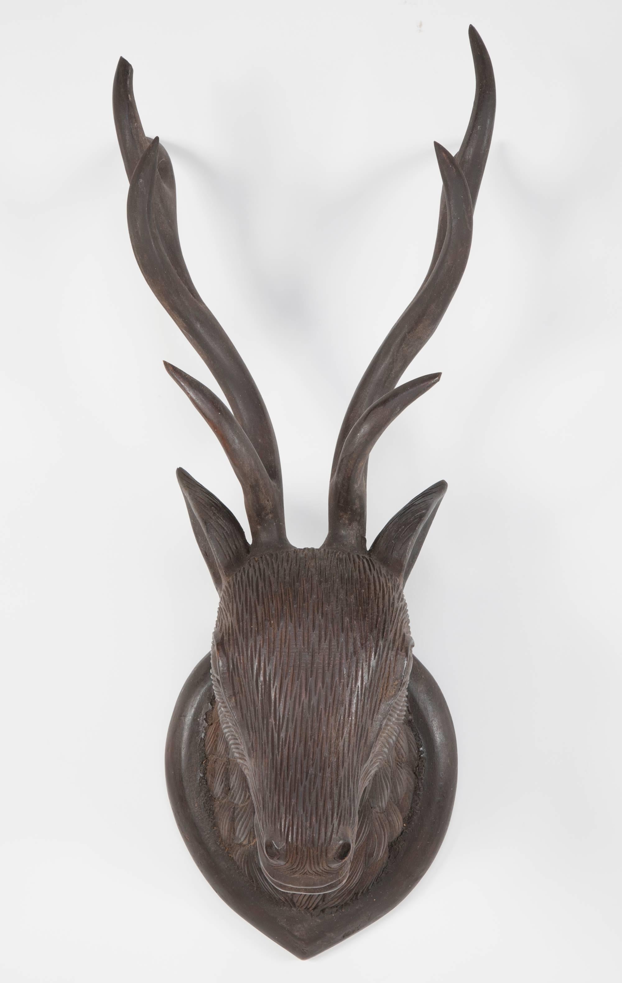 Black Forest Carved Wood Deer Head, Hand-Carved Antlers 1
