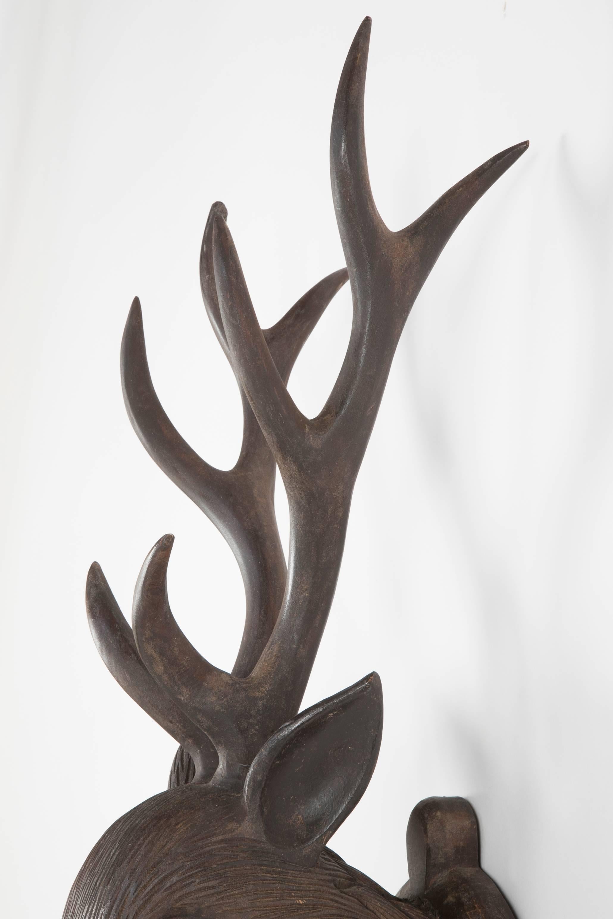 Black Forest Carved Wood Deer Head, Hand-Carved Antlers 2
