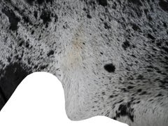 Modern Salt and Pepper Leather Cowhide with Black and White Spots from Brazil