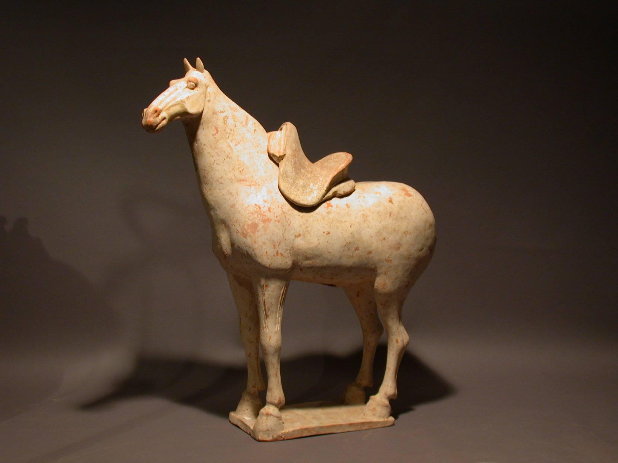 Tang dynasty pottery statue of standing horse with removable saddle, Tang dynasty 618-907, come with Oxford authentication TL test certificate. Oxford test numbers C106t33.