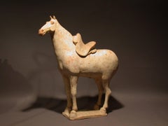 Fine Tang Dynasty Pottery Horse, Oxford TL Tested