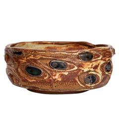 Matthew Ward Polka Dot Bowl