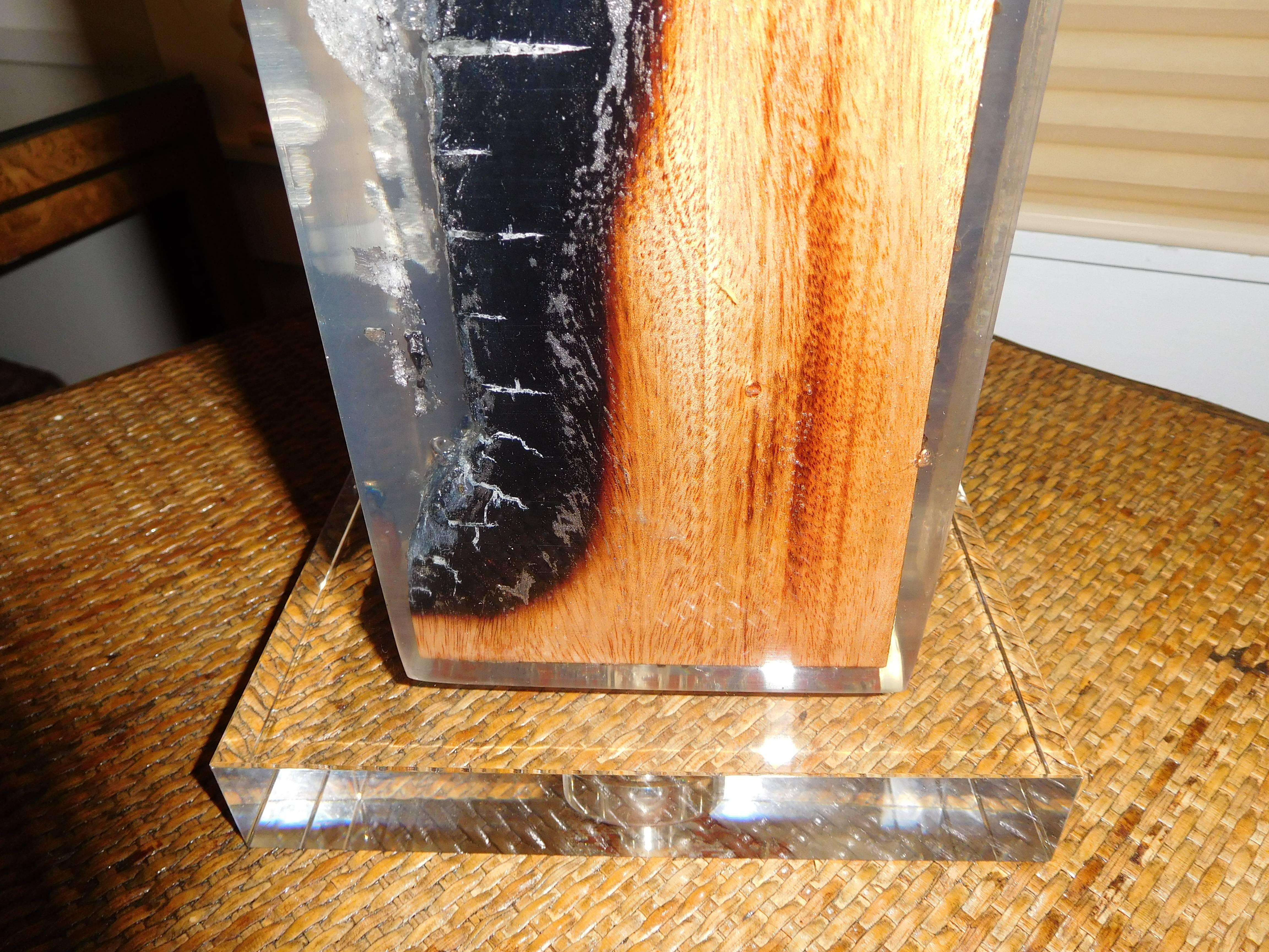 Modern Pair of Petrified Wood in Lucite, Table Lamp For Sale