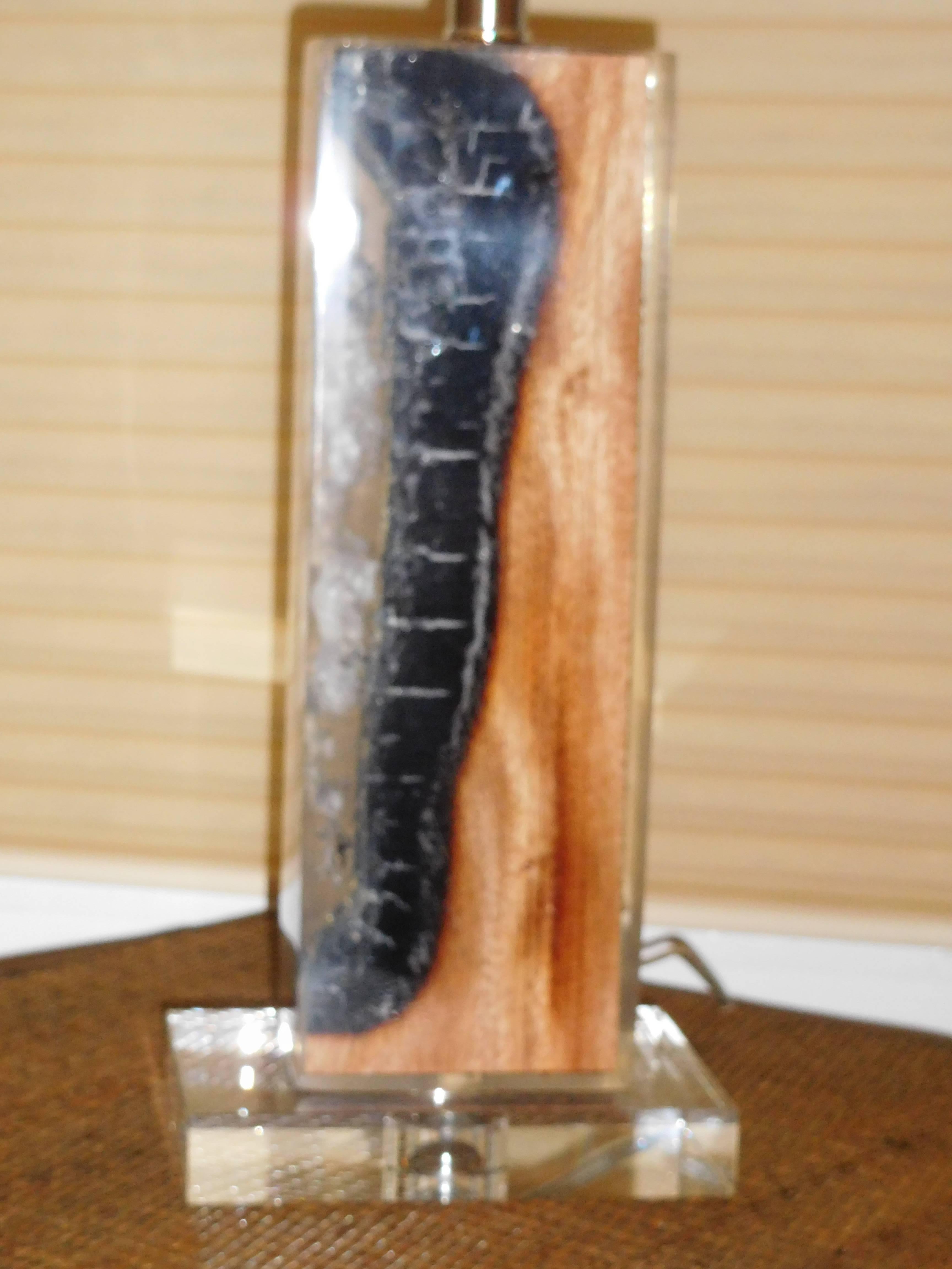American An Exceptional Petrified Wood in Lucite, Table Lamp For Sale