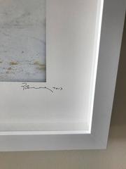 I polli di Isabella Rossellini" fotografati da Patrice Casanova, NY