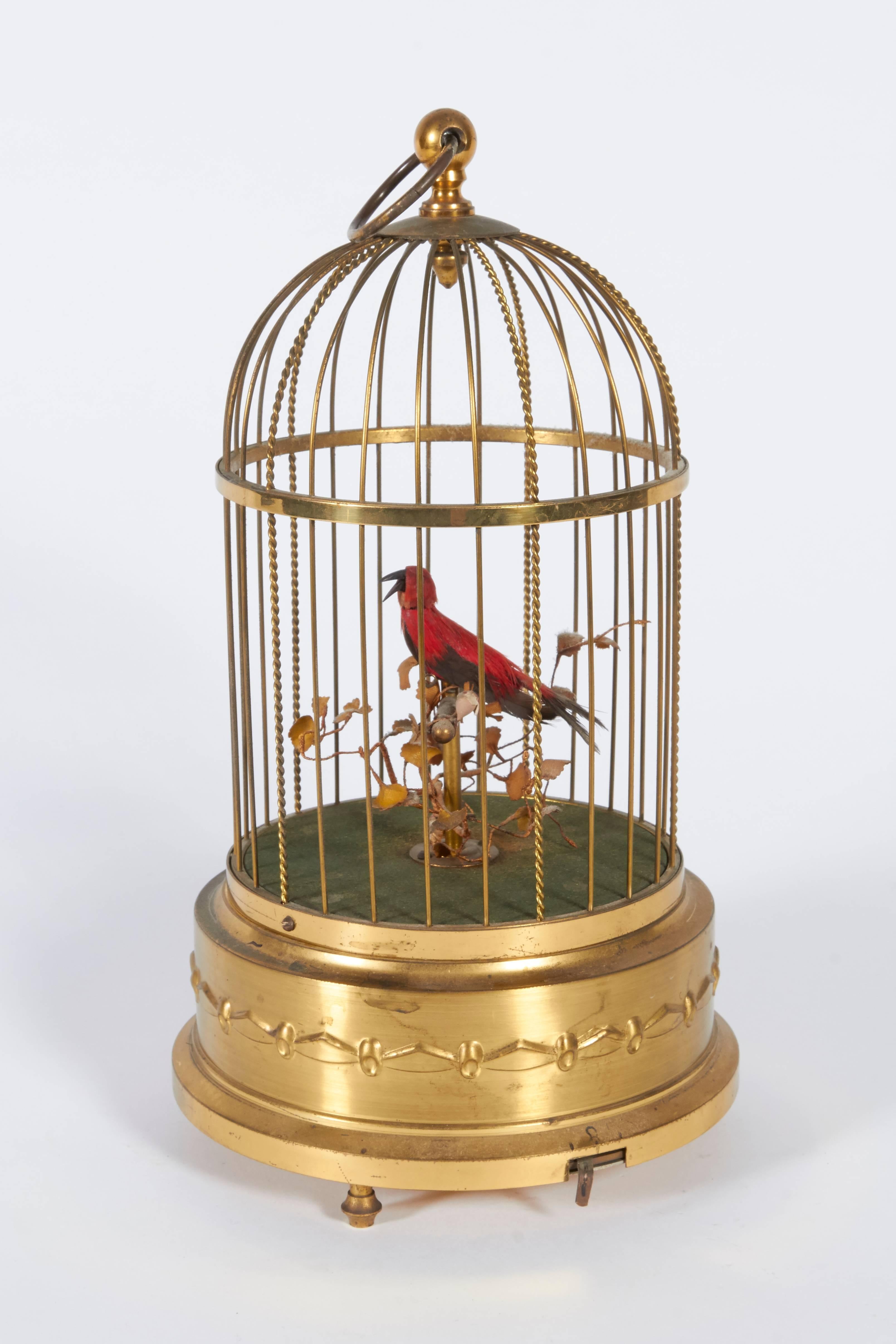 A charming automated birdcage music box with the bird's head turning, beak moving and tail moving up and down in sync with the chirping sound.

 
