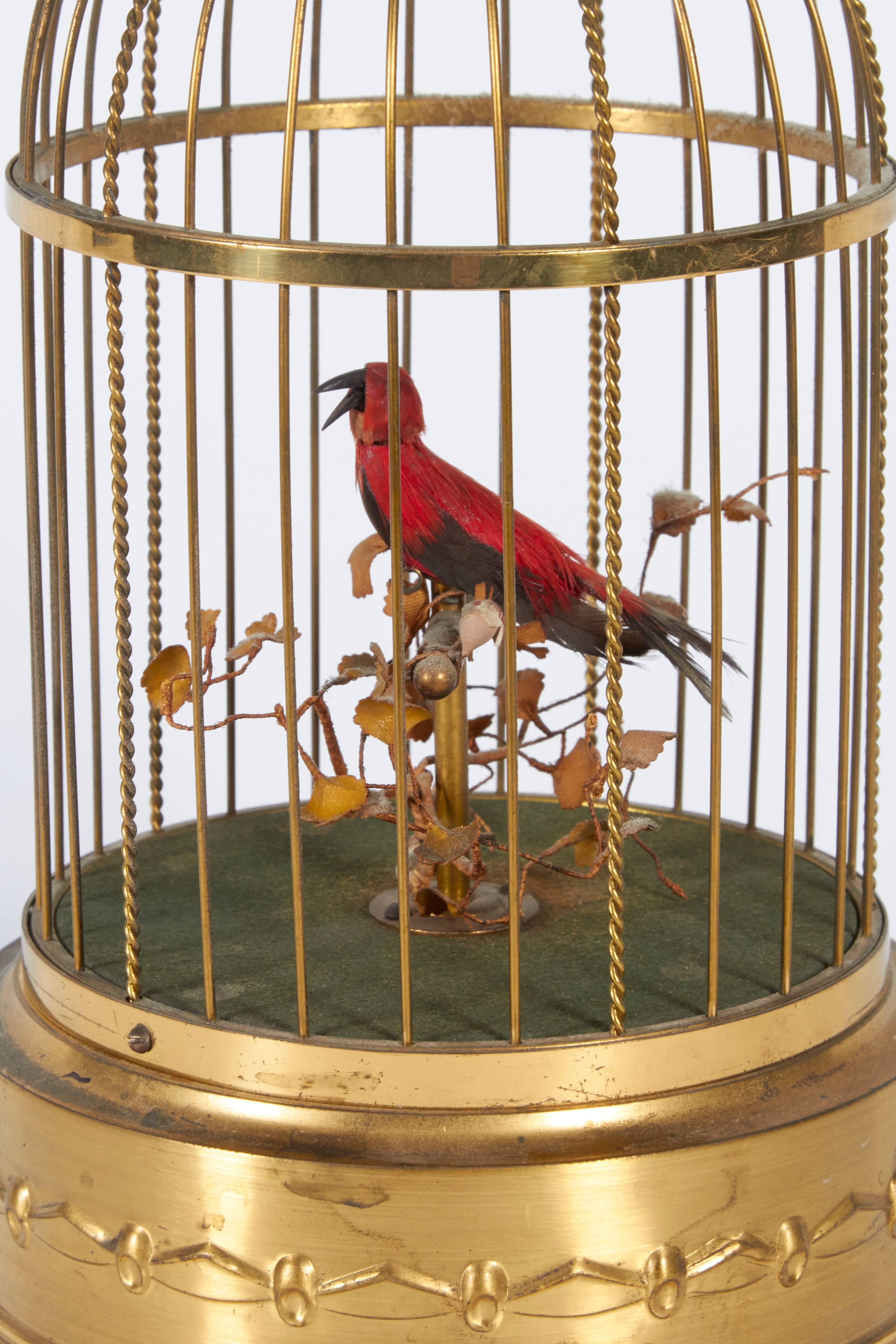 singing bird in cage
