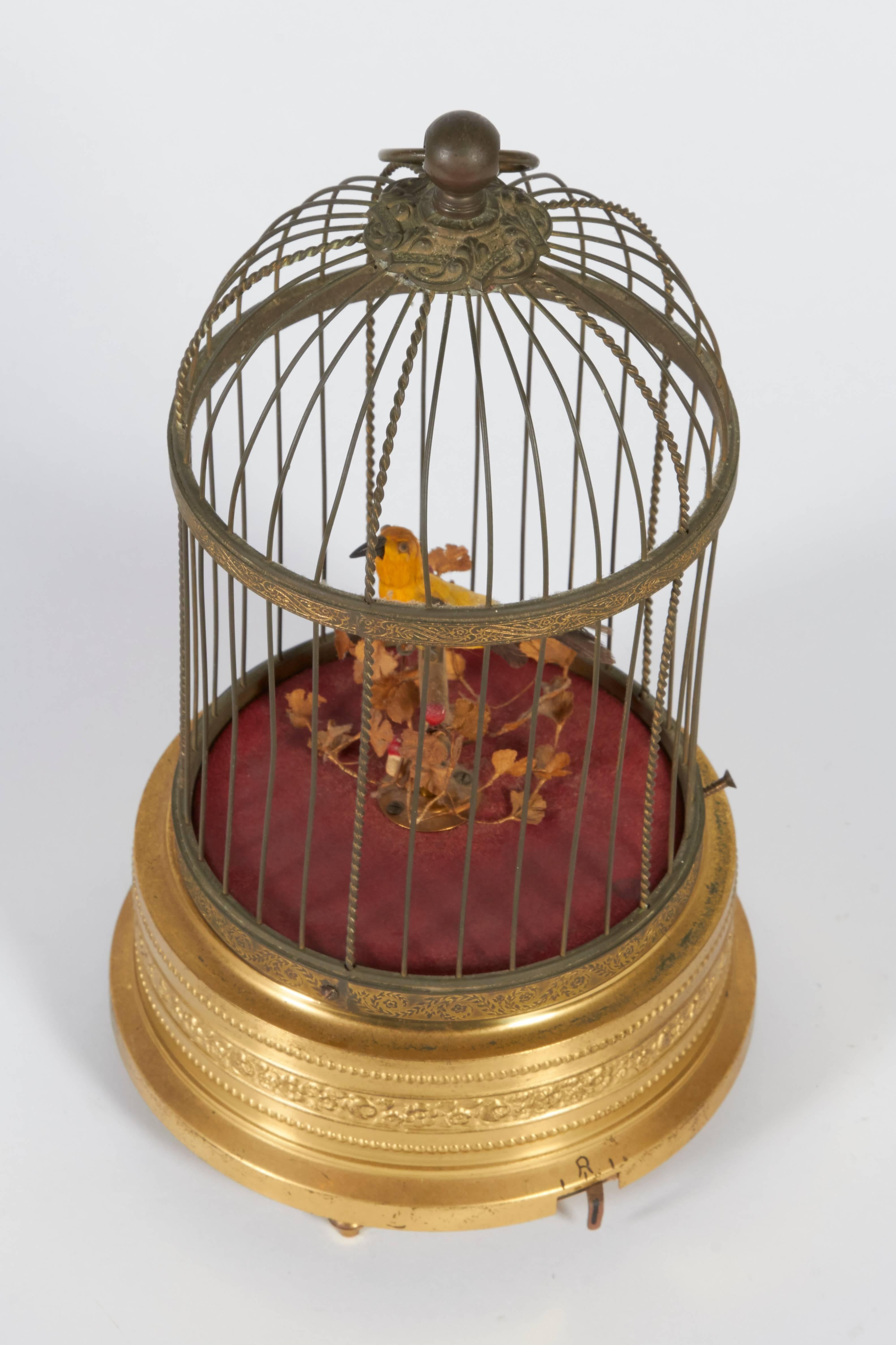 A charming automated birdcage music box with the bird's head turning, beak moving and tail moving up and down in sync with the chirping sound.