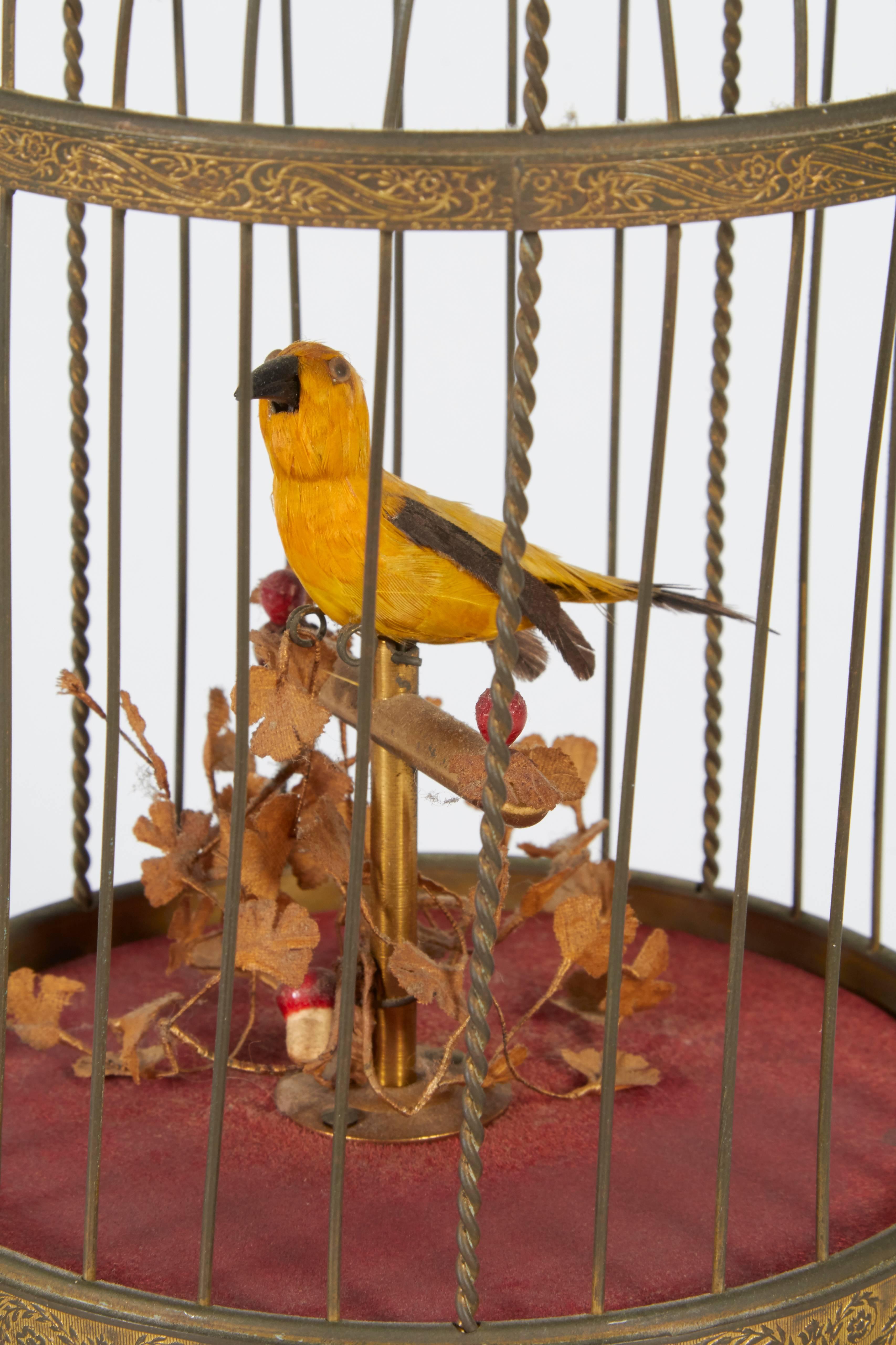vintage bird cage music box