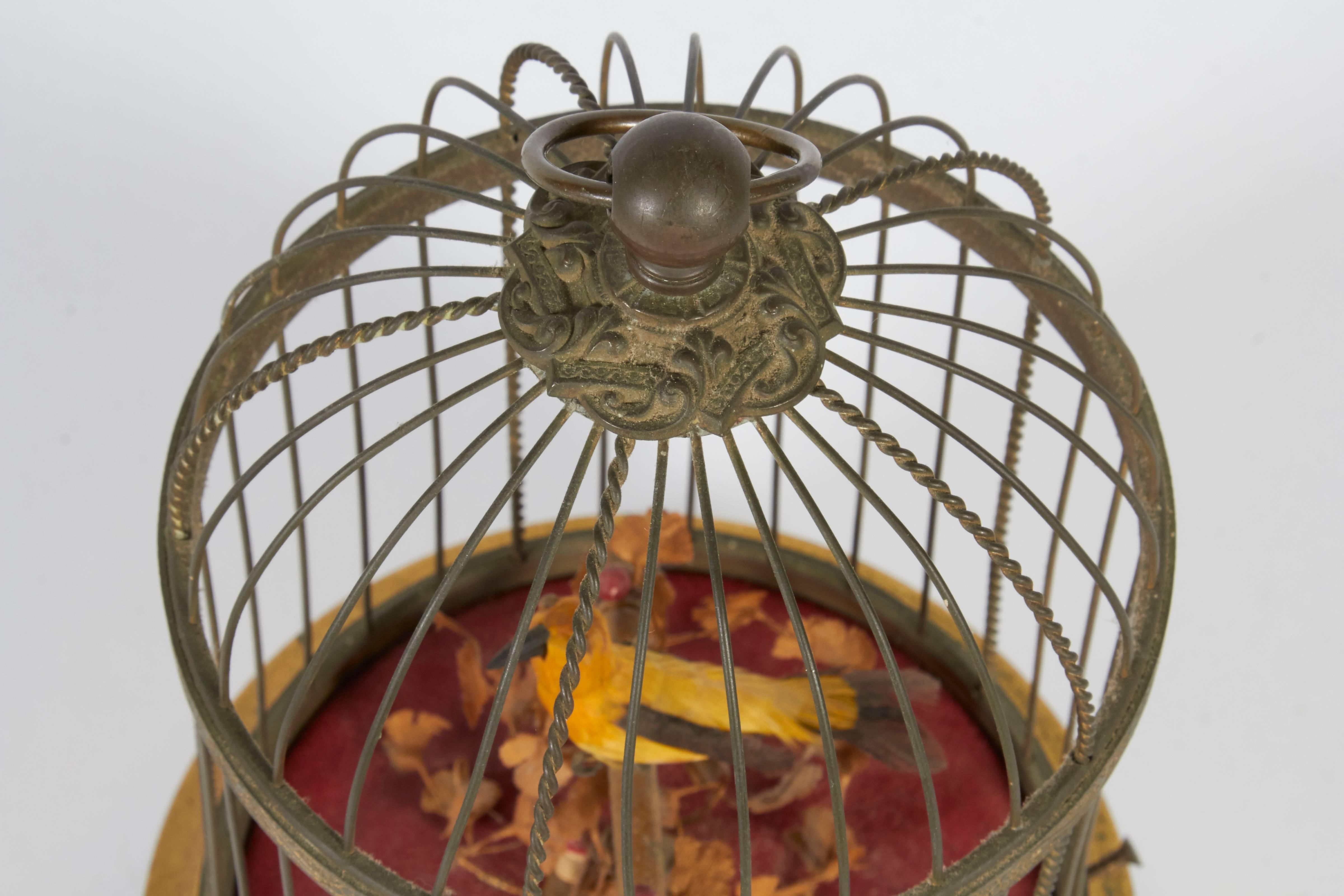bird in cage music box